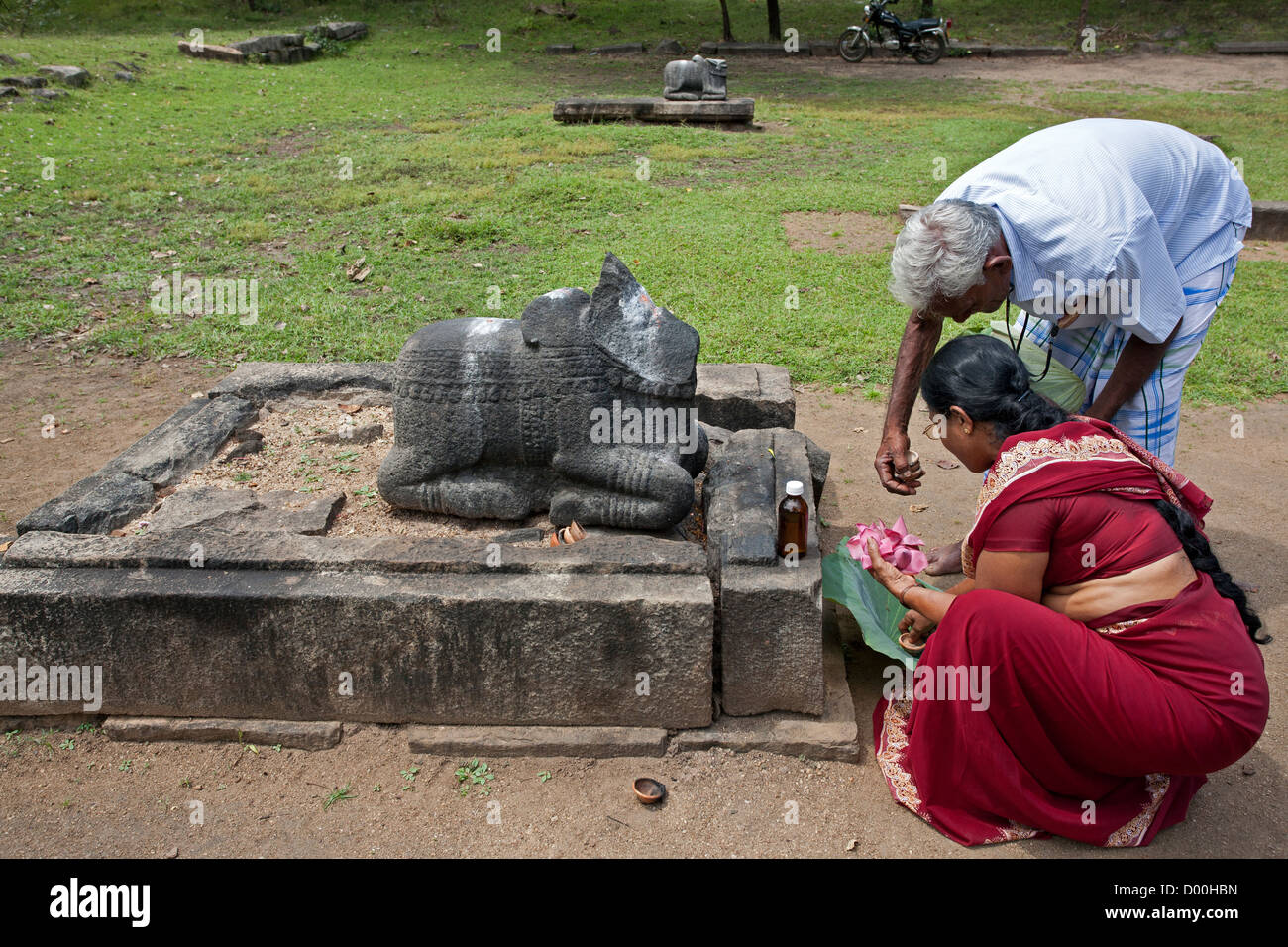 Hindu couple making a ritual offering to a Nandi Bull (the vehicle of God Shiva). Polonnaruwa ancient city. Sri Lanka Stock Photo