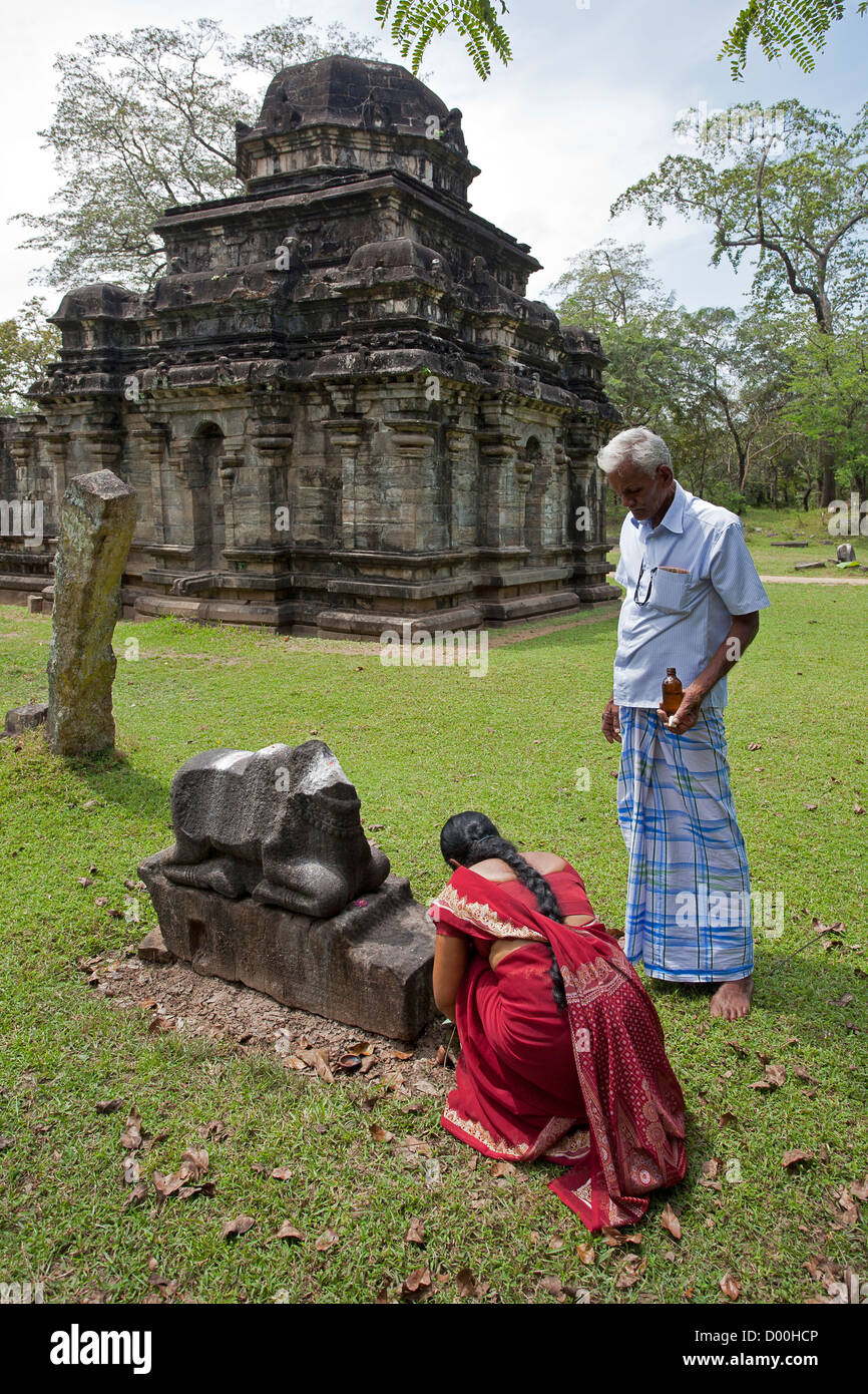 Hindu couple worshiping a Nandi Bull (the vehicle of God Shiva). Shiva Devale temple  nº2. Polonnaruwa ancient city. Sri Lanka Stock Photo