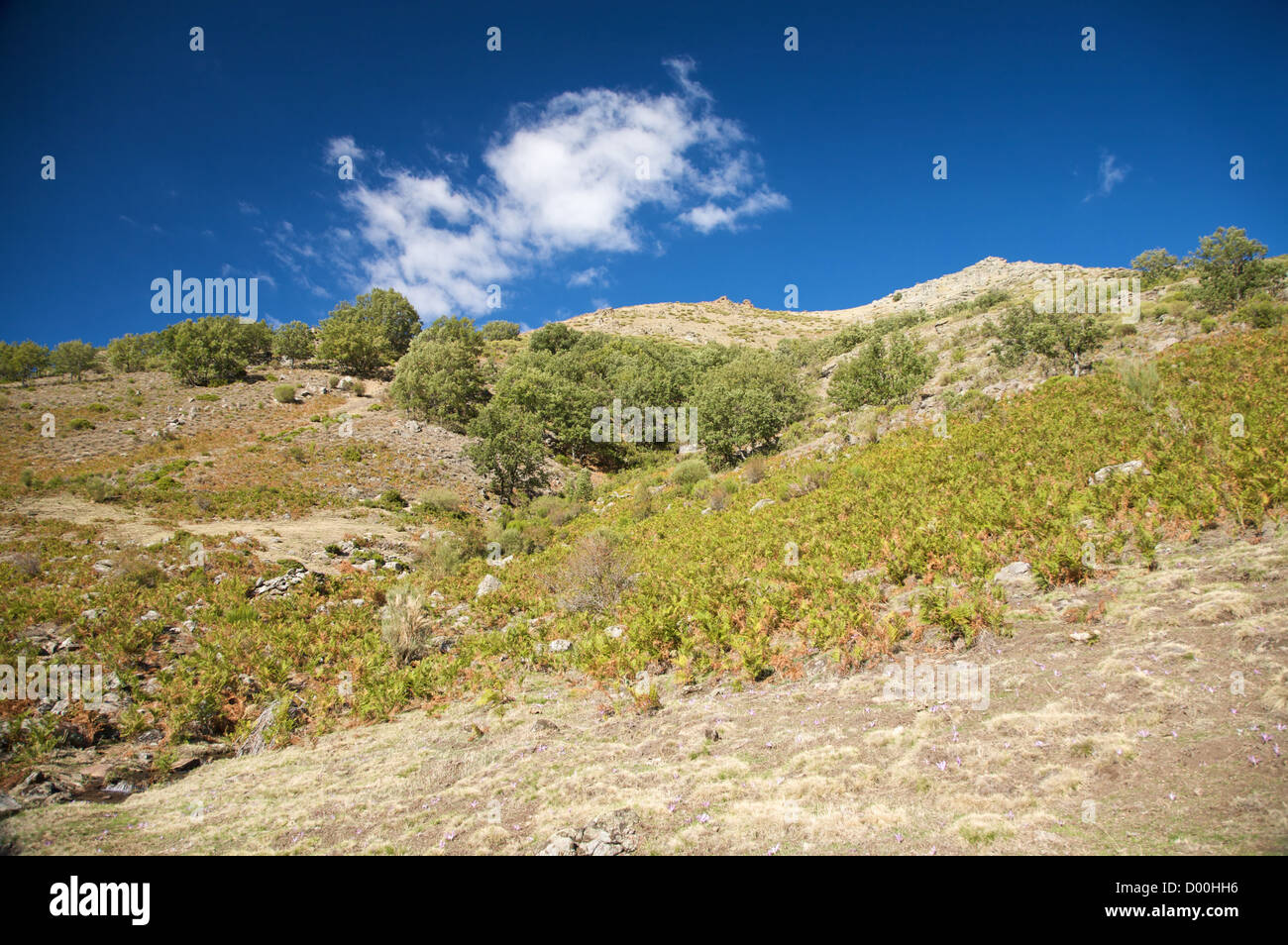 mountains at gredos natural park in avila spain Stock Photo - Alamy