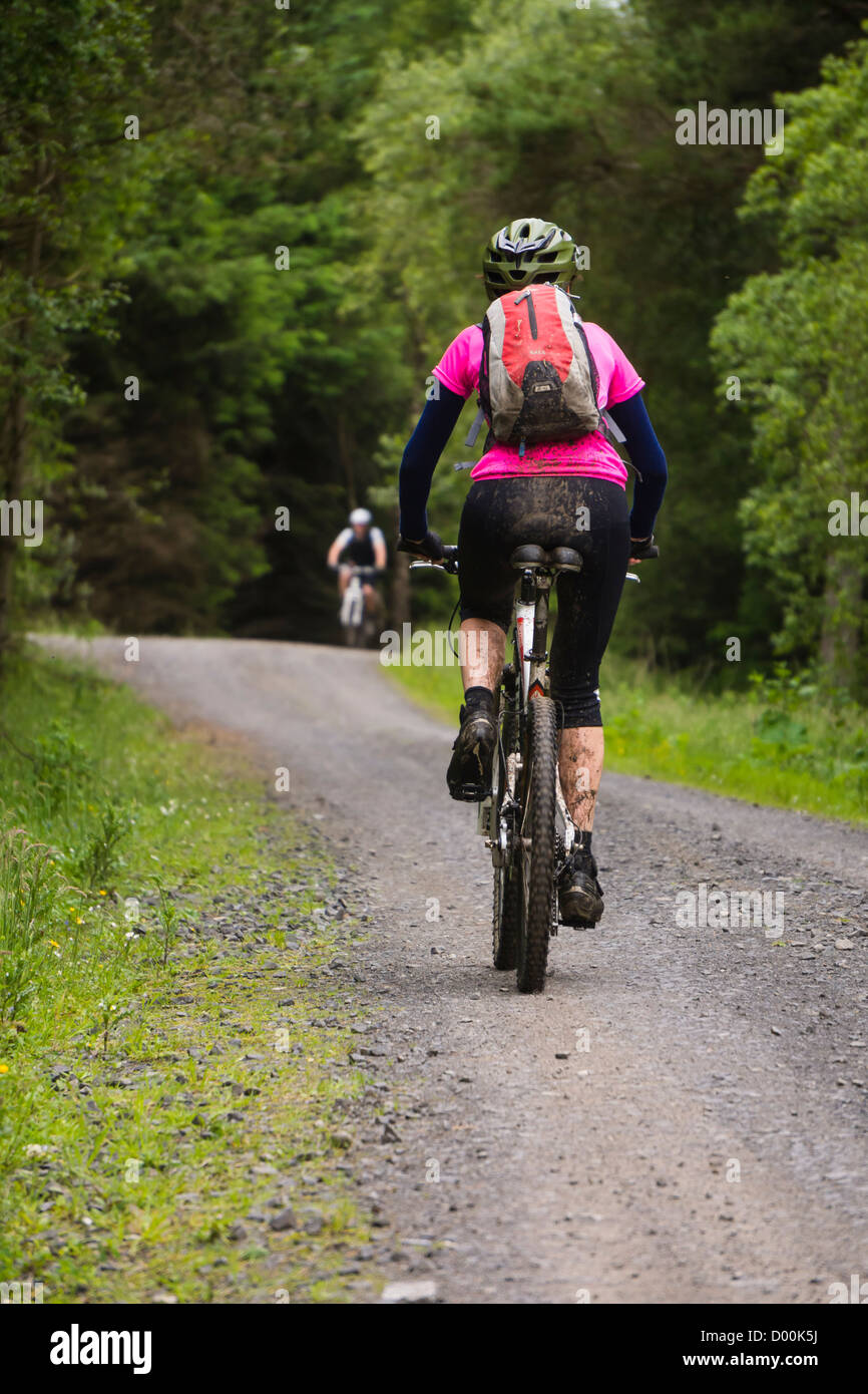 A woman riding her mountain bike through Slaley Woods in Northumberland. Stock Photo