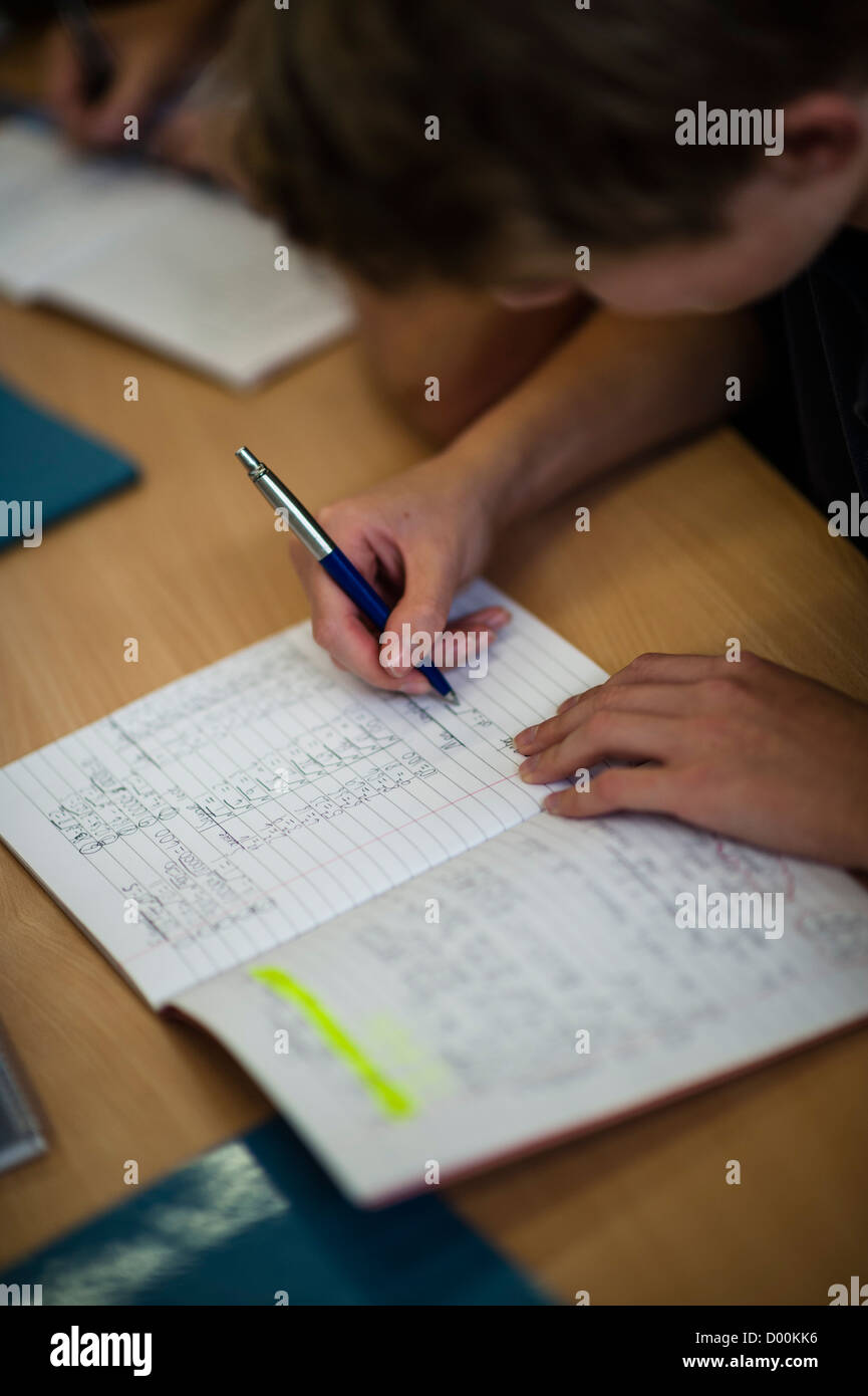 style of essay zoo in english