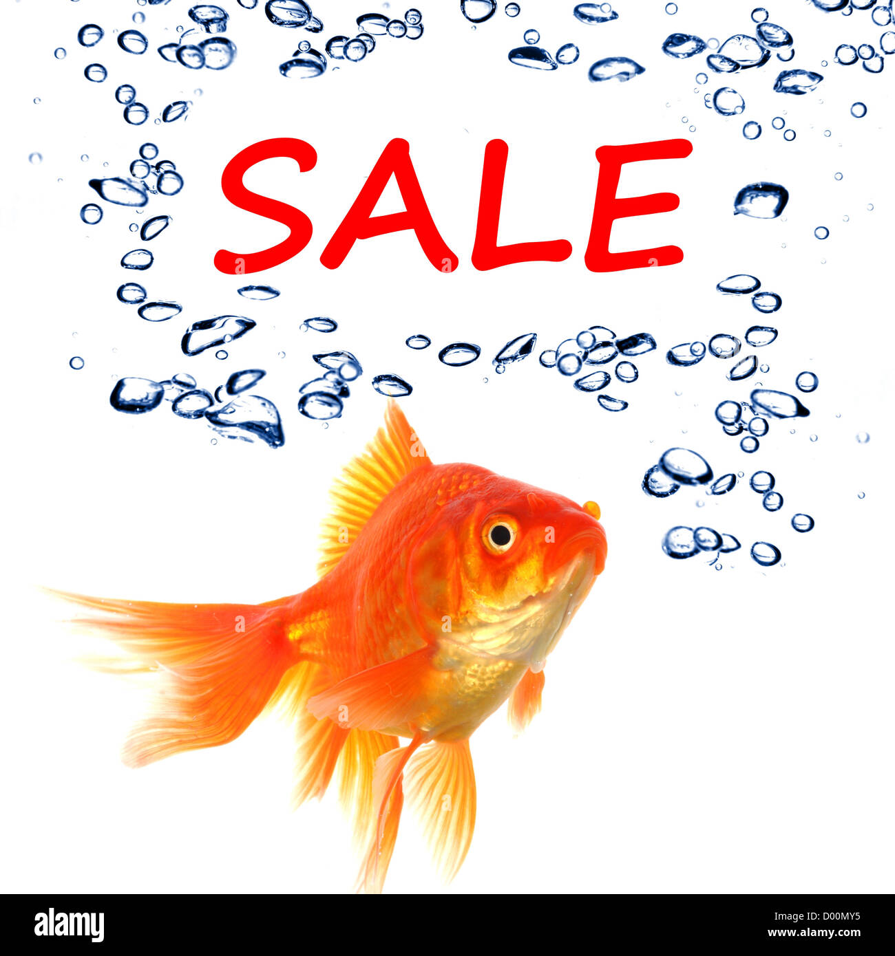 sale marketing or shopping concept with goldfish on white Stock Photo