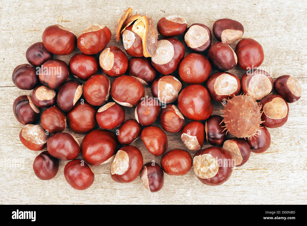 Pile of brown horse chestnuts over a wooden background Stock Photo