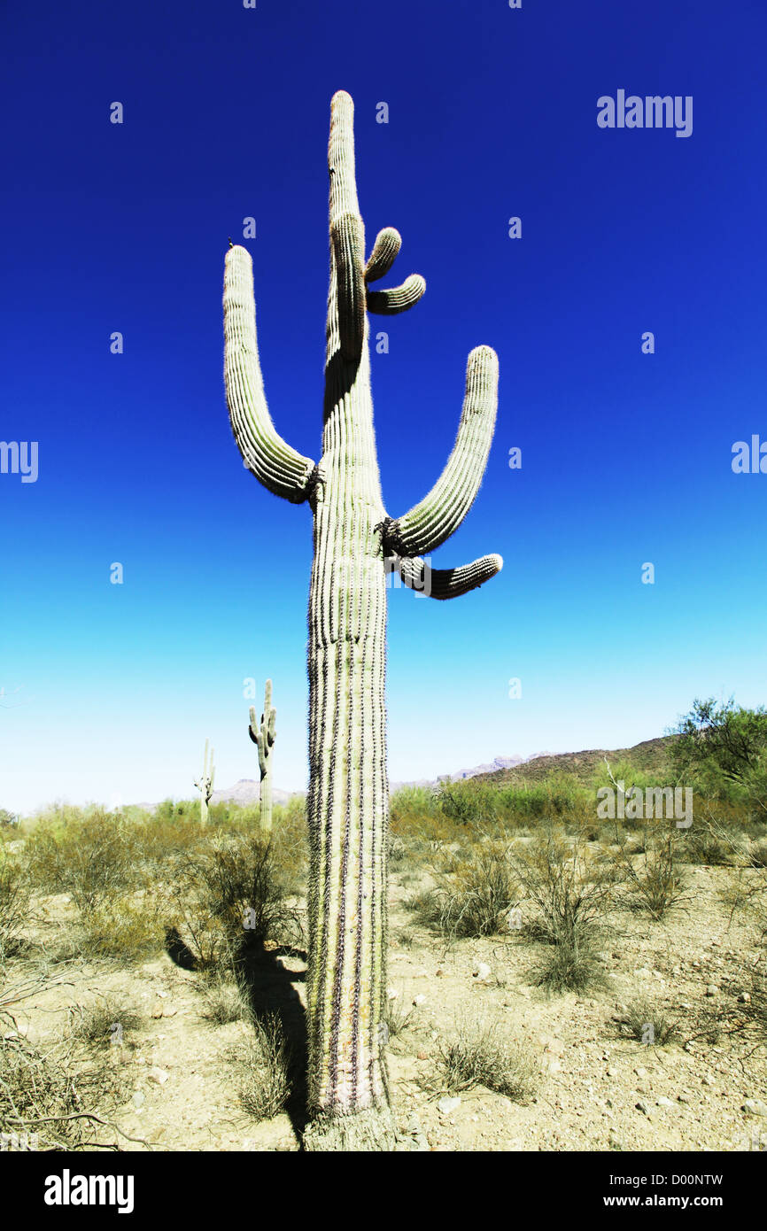 Park ecology hi-res stock photography and images - Alamy