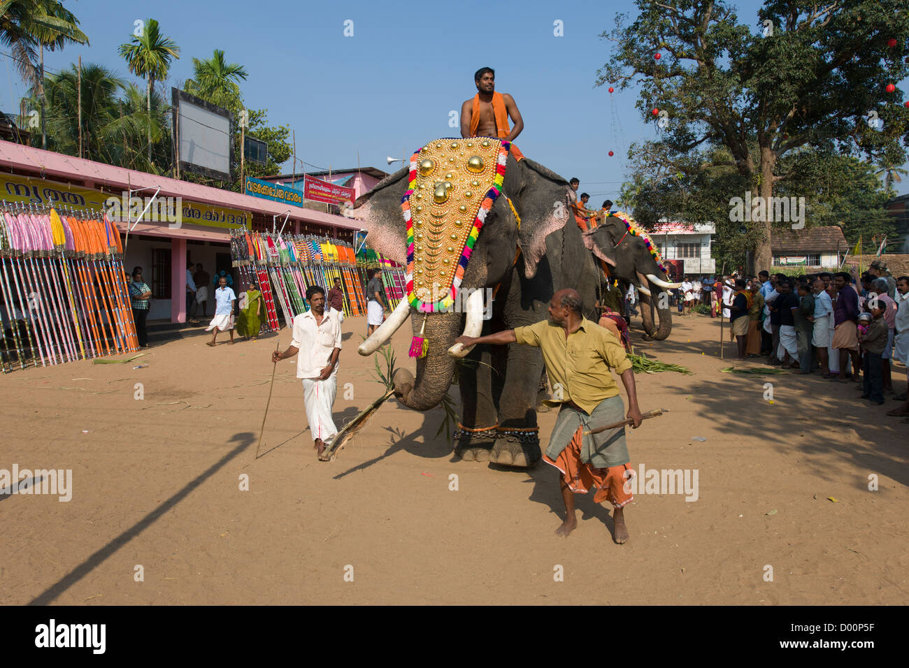Caparisoned elephant wearing a golden Nettipattam being led into place for the Goureeswara Temple Festival, Cherai, near Kochi (Cochin), Kerala, India Stock Photo