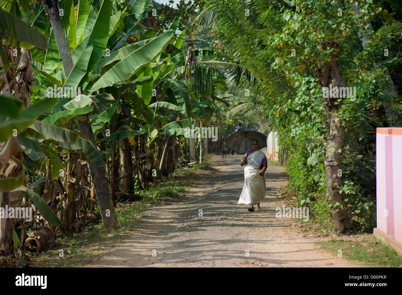Woman in saree walking hi-res stock photography and images - Alamy