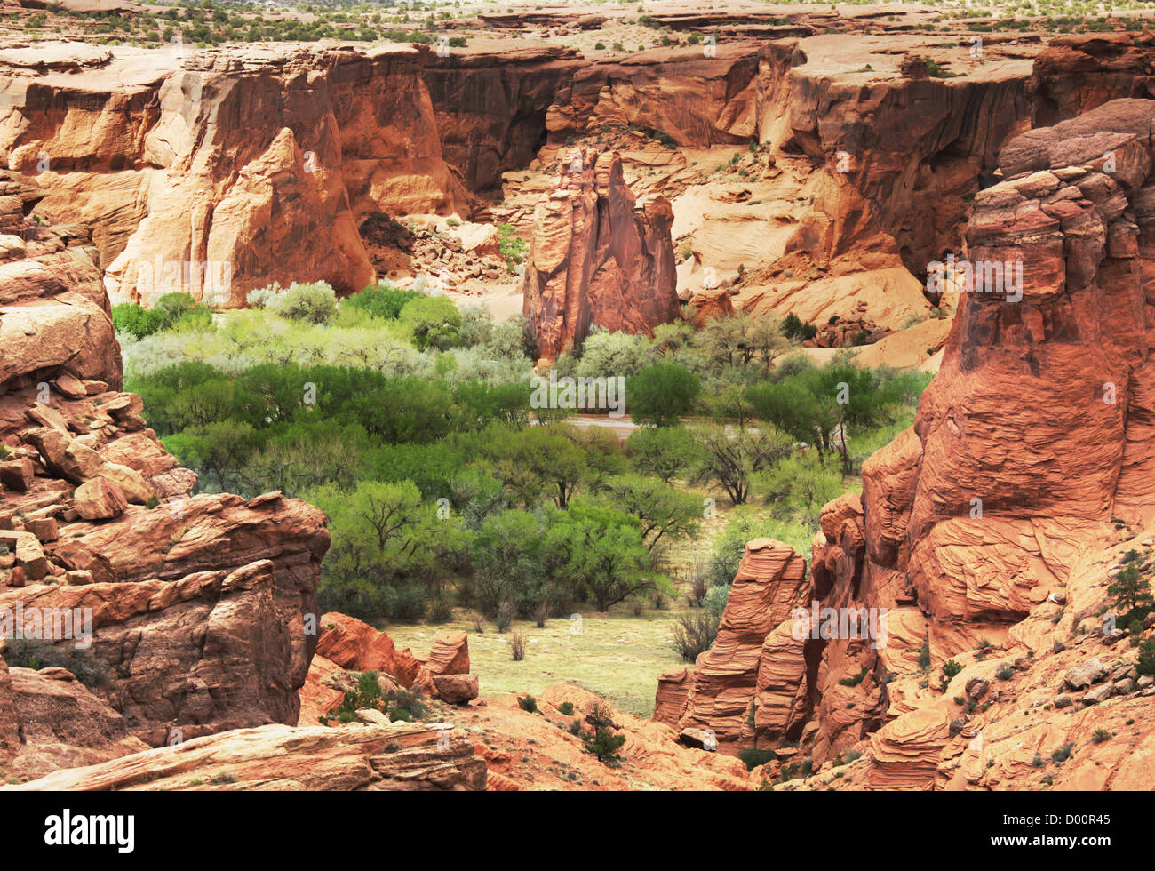 Red stone canyon arizona hi-res stock photography and images - Alamy