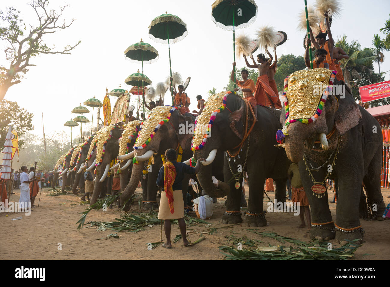 Caparisoned elephants wearing golden Nettipattam ridden by priests holding Muthukuda parasols and Venchamaram whisks at the  Goureeswara Temple Festival, Cherai, near Kochi (Cochin), Kerala, India Stock Photo