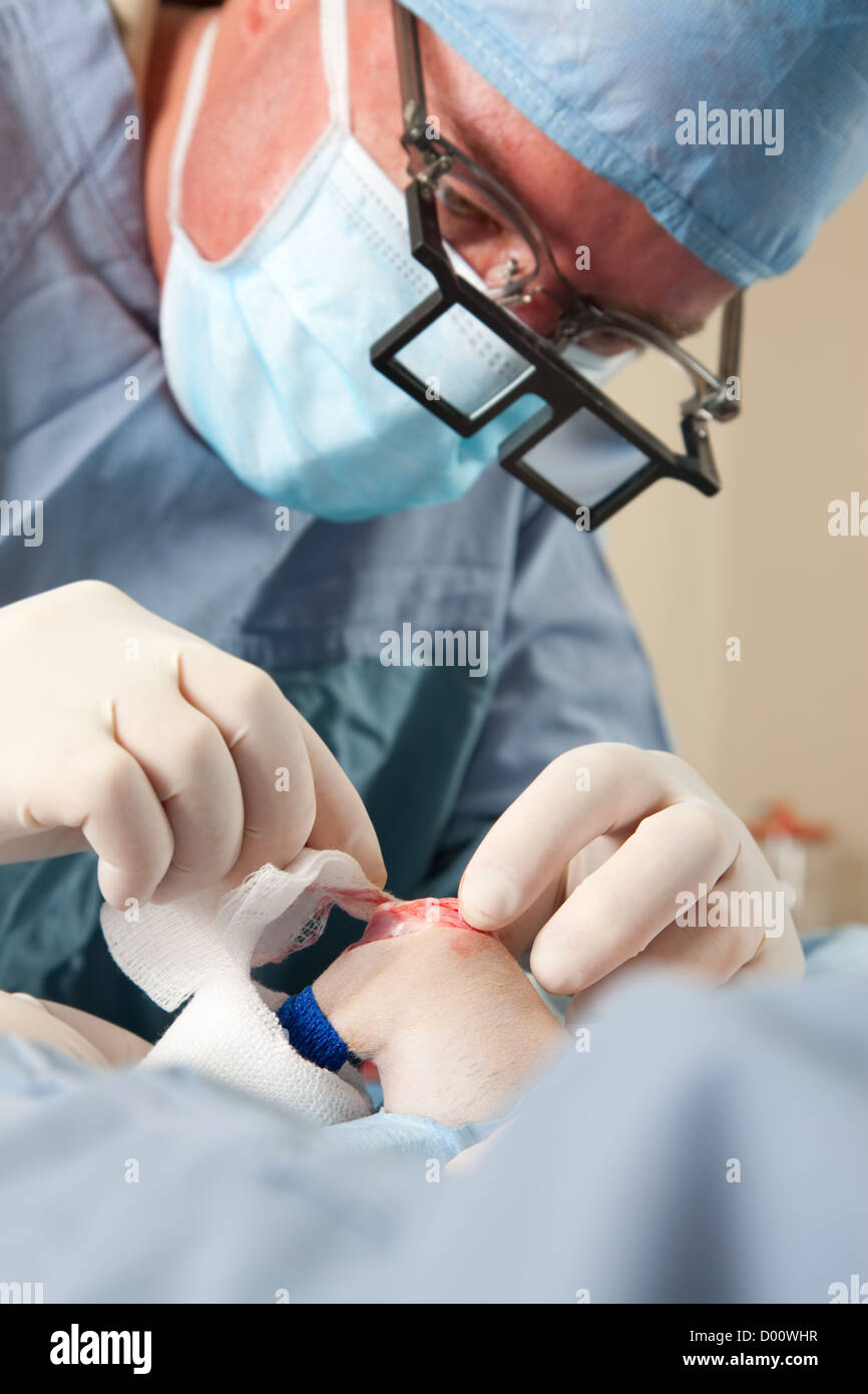 Veterinarian performing knee surgery on small dog in clinic Stock Photo