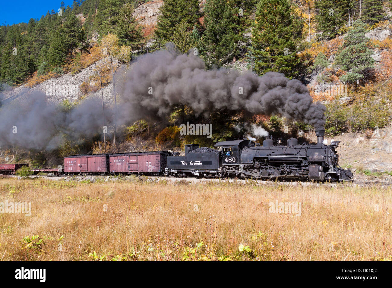 1925 2-8-2 Mikado type Baldwin Steam Locomotive pulling historic mixed consist train at Needle Creek meadow on D&SNG Railroad Stock Photo