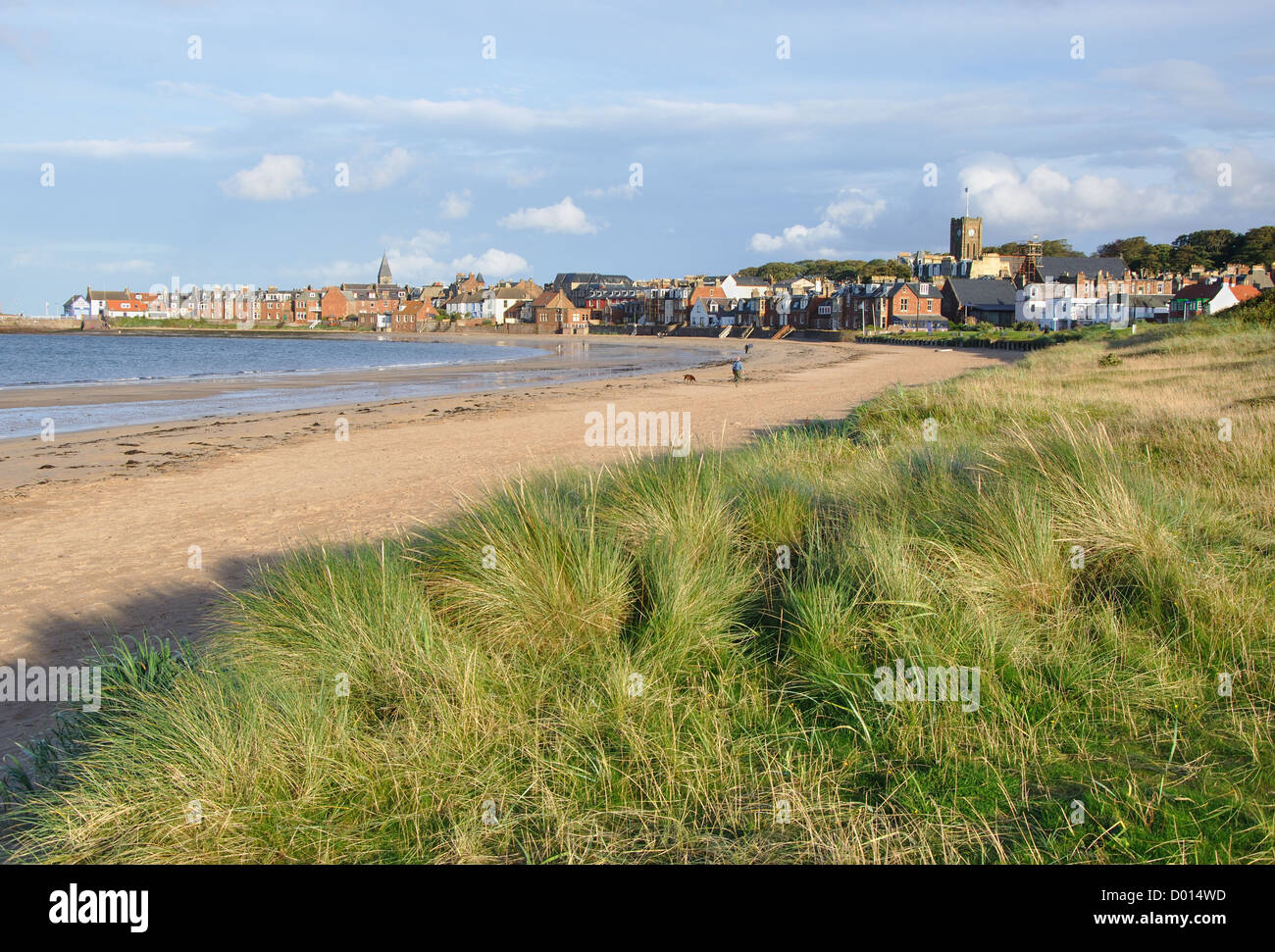 sand dunes, West Bay, North Berwick, East Lothian, Scotland, UK Stock