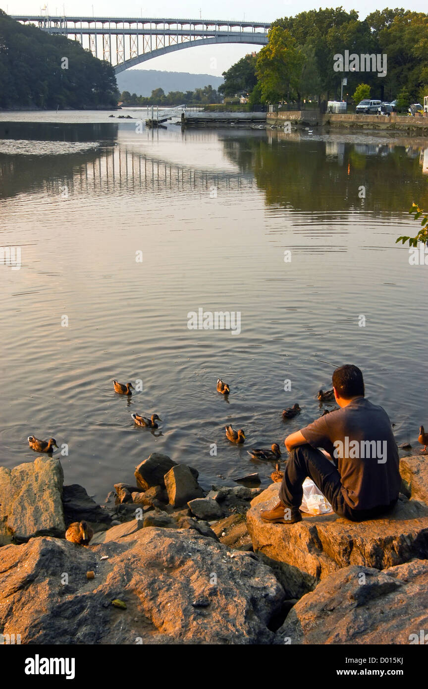 Man feeding ducks and other wild water birds in Inwood Hill Park ©Stacy Walsh Rosenstock Stock Photo