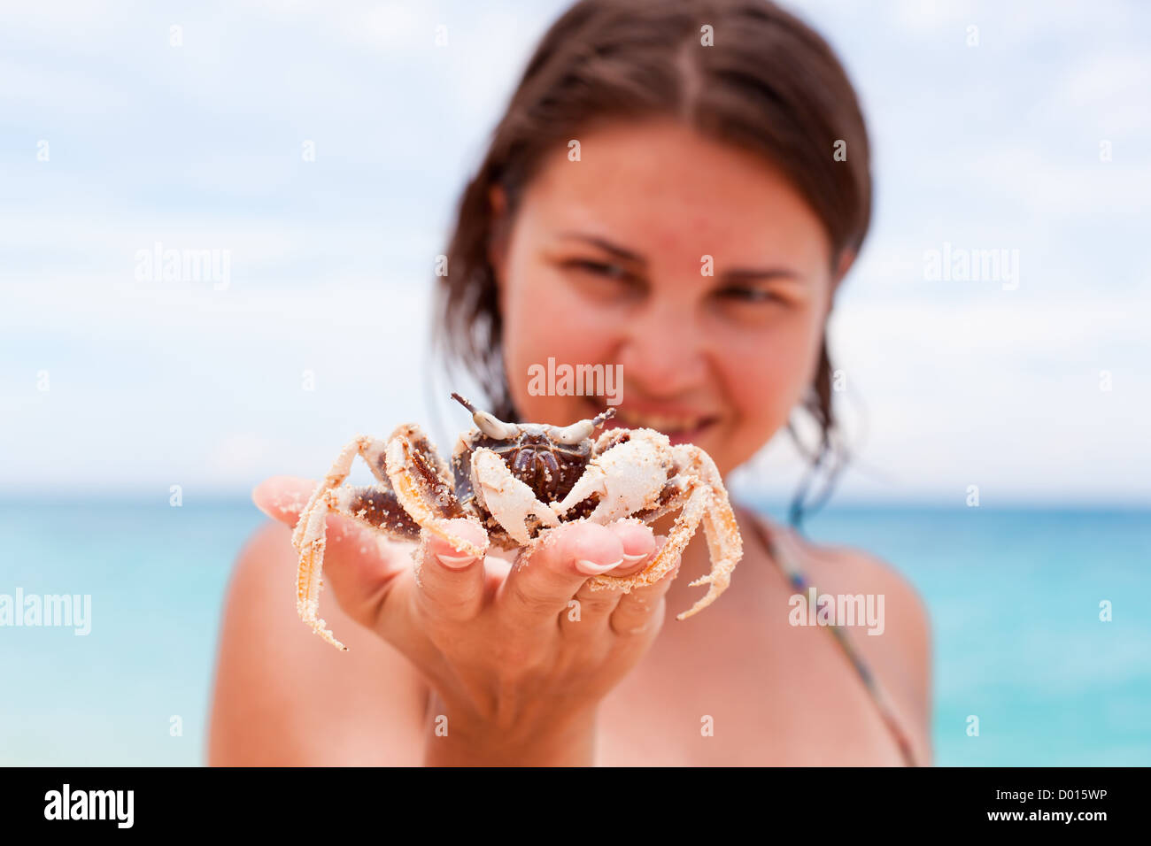 Crab in hands on beach Stock Photo