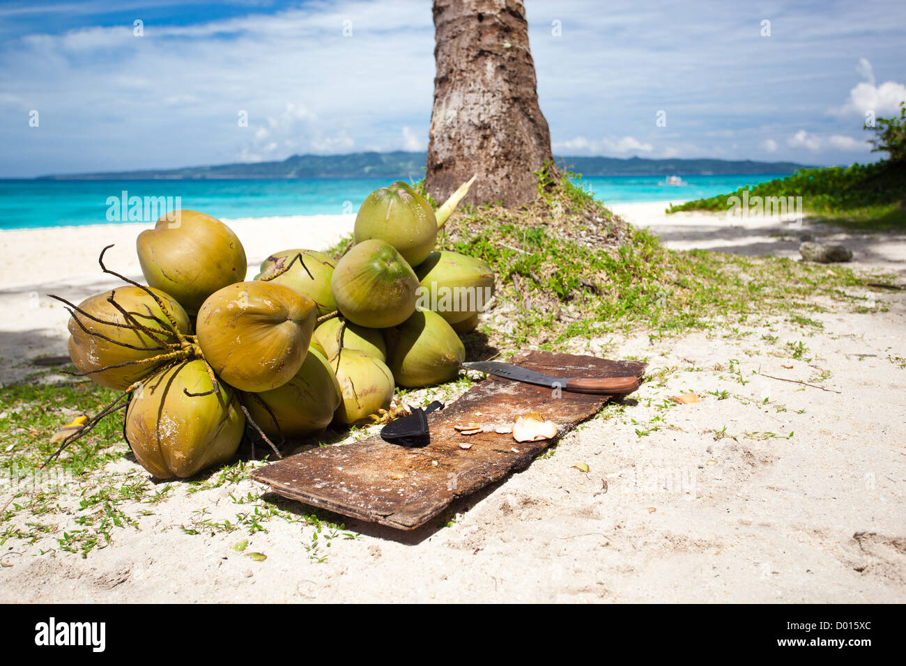 Coconuts on beach under palm tree Stock Photo Alamy
