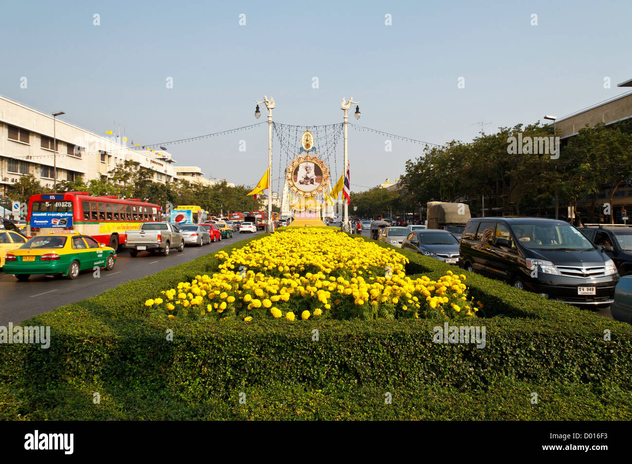Yellow Flower Bed in Bangkok, Thailand Stock Photo Alamy