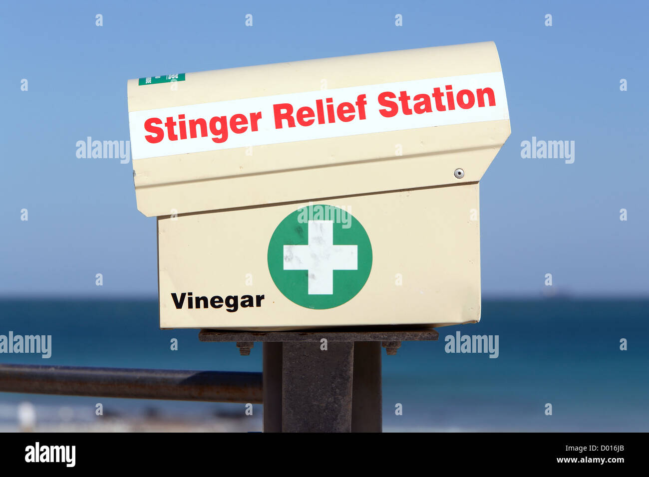 Irukandji jellyfish broome hires stock photography and images Alamy