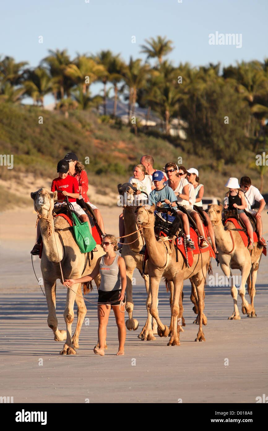 Camel Tour for tourists. Cable Beach, Broome, Western Australia. Stock Photo