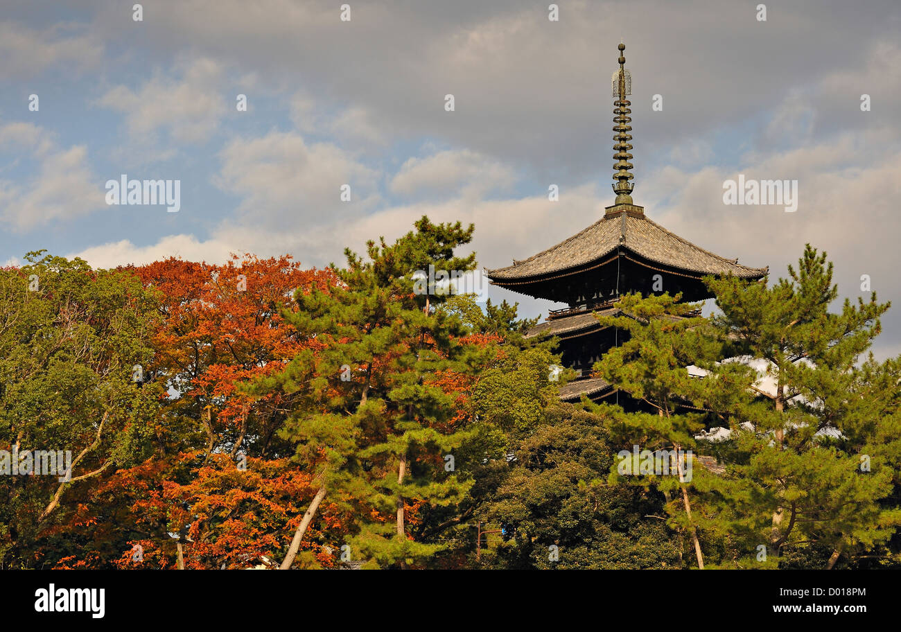 The 5-storey pagoda of Kofukuji temple in Nara, Japan Stock Photo