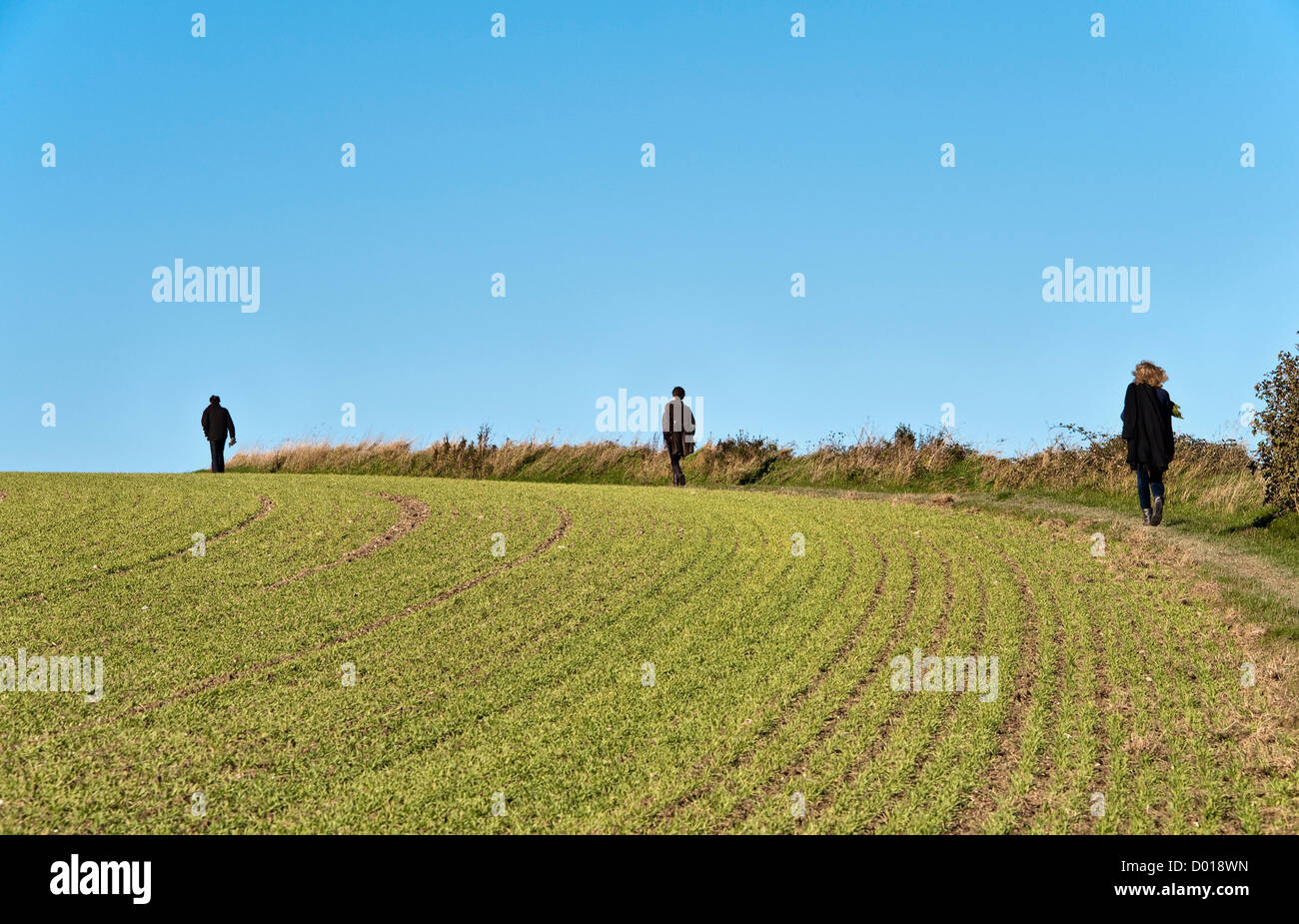Three people on a socially distanced walk in the Kent countryside, UK Stock Photo