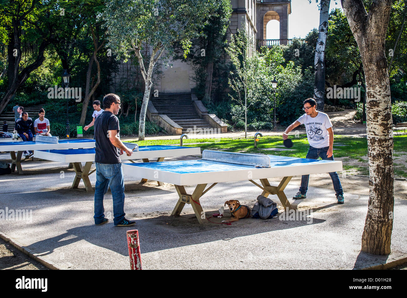 Unidentified men play ping pong in the Parc de la Ciutadella in Barcelona,  Spain on a sunny day while other people watch them Stock Photo - Alamy