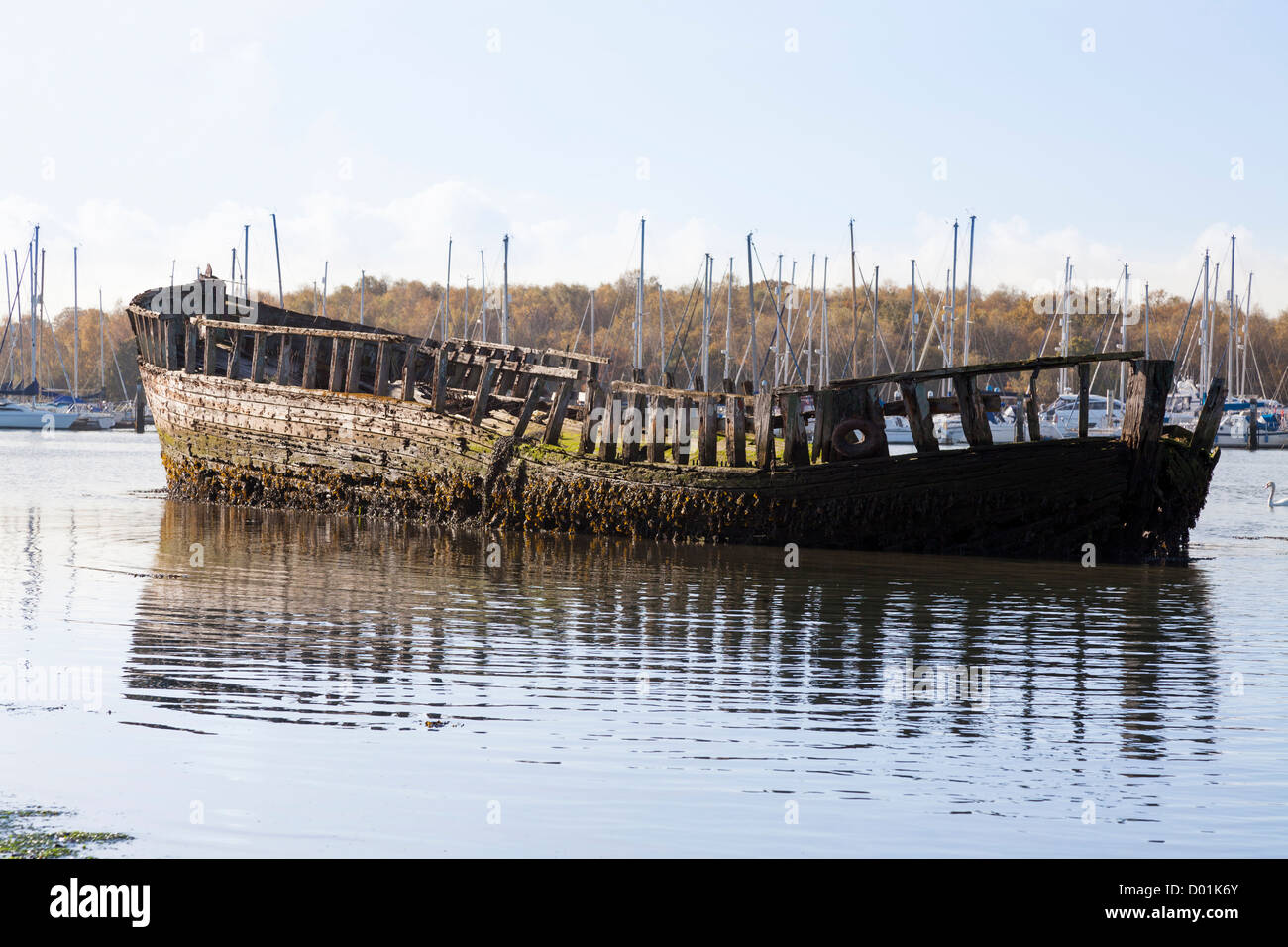 Wooden boat wreck rotting on the River Hamble Esturary Stock Photo Alamy