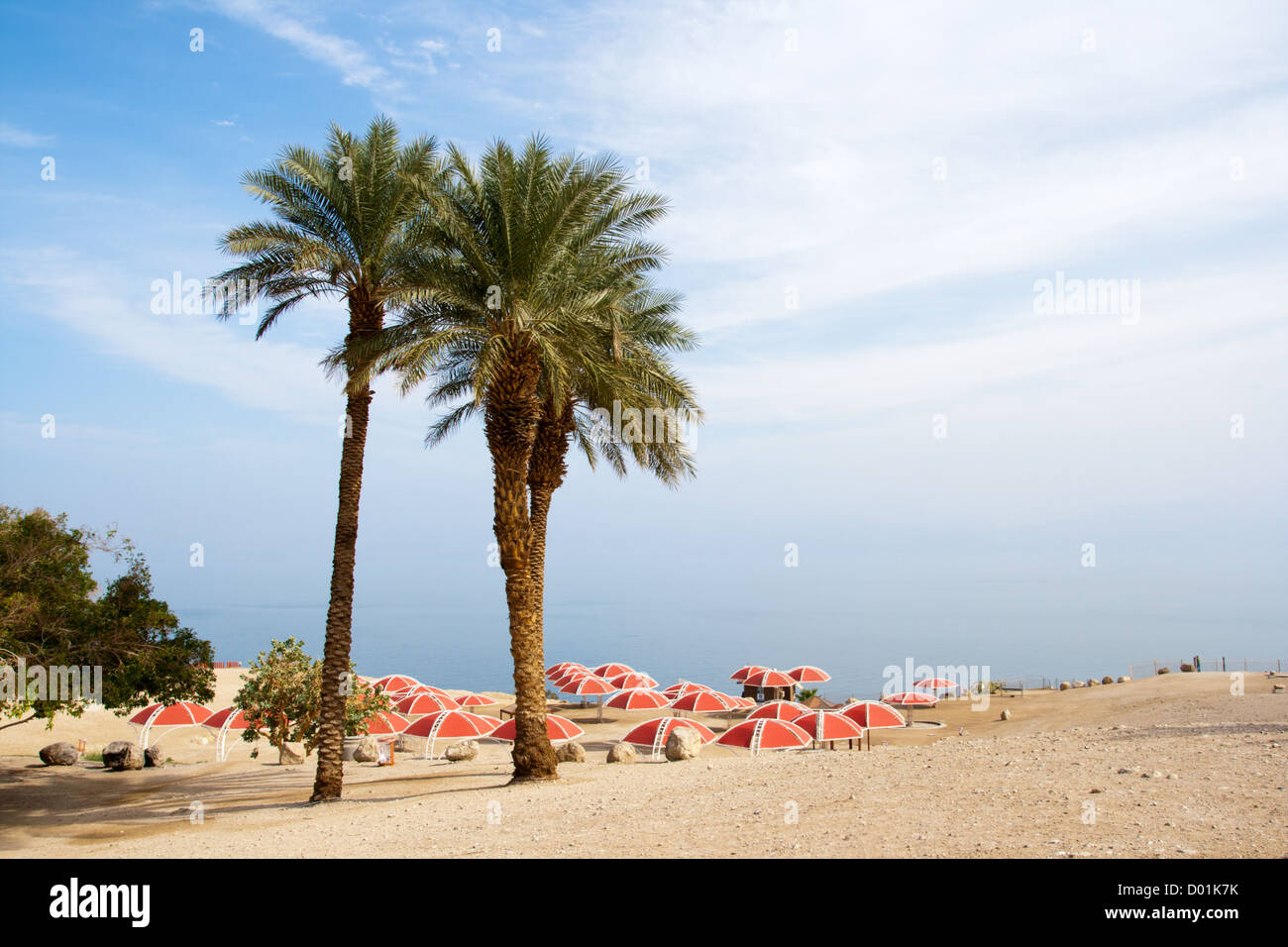 Ein Gedi oase at the Dead Sea. Israel Stock Photo