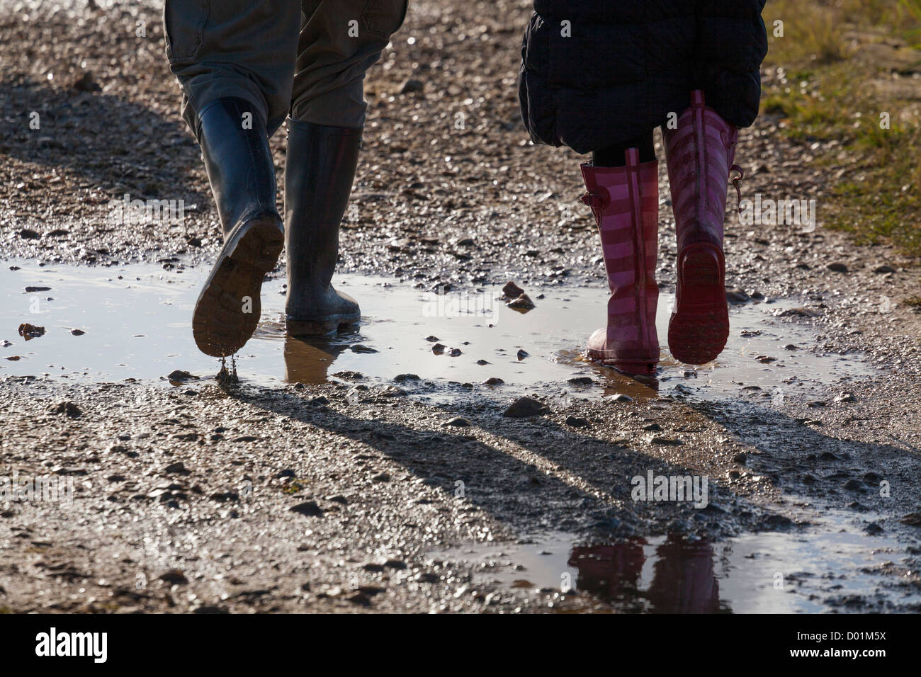 legs of two people in wellington boots  walking through puddles on a footpath Stock Photo