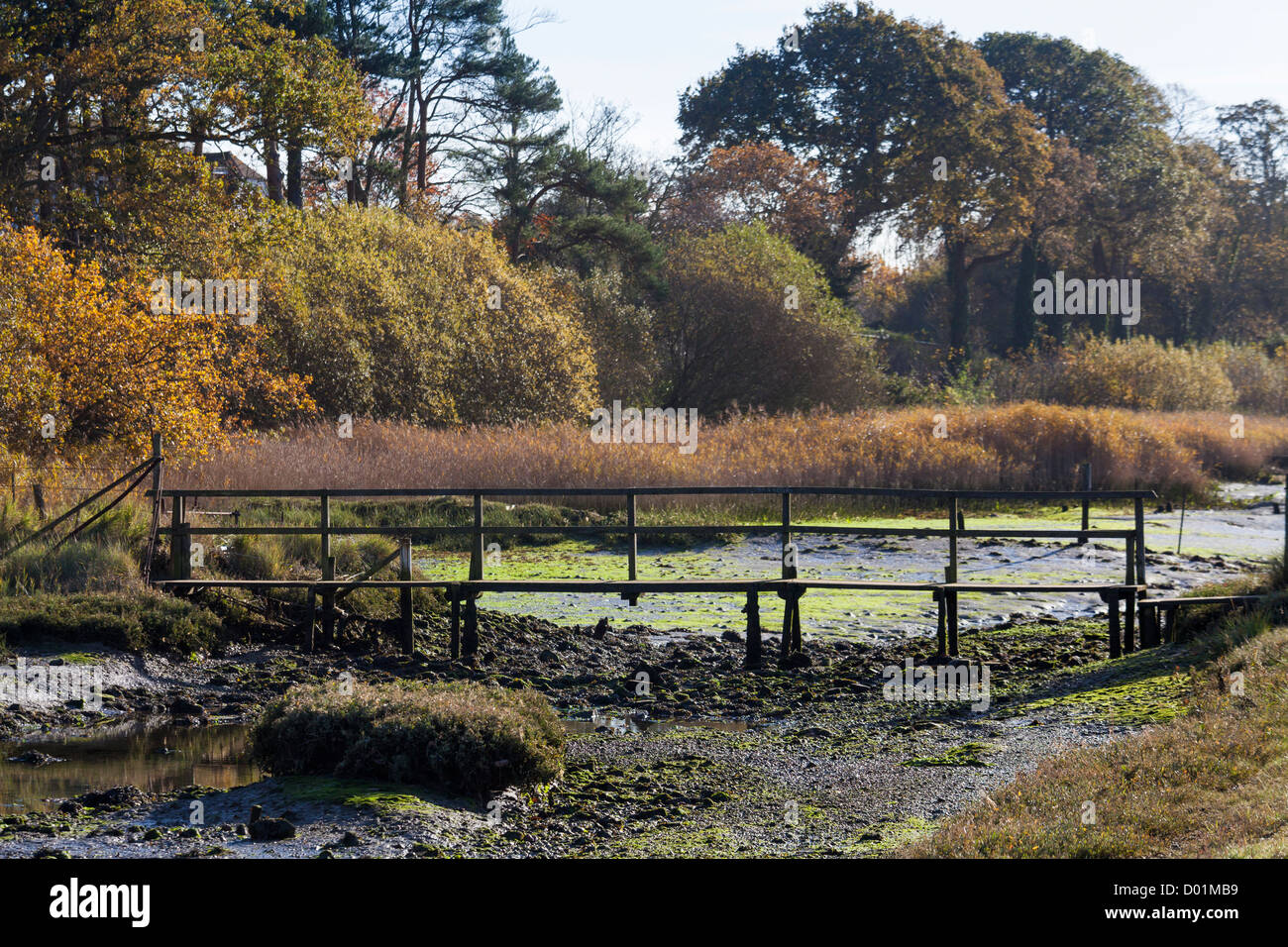 a rickety bridge across the salt marsh alongside the river hamble esturary Stock Photo