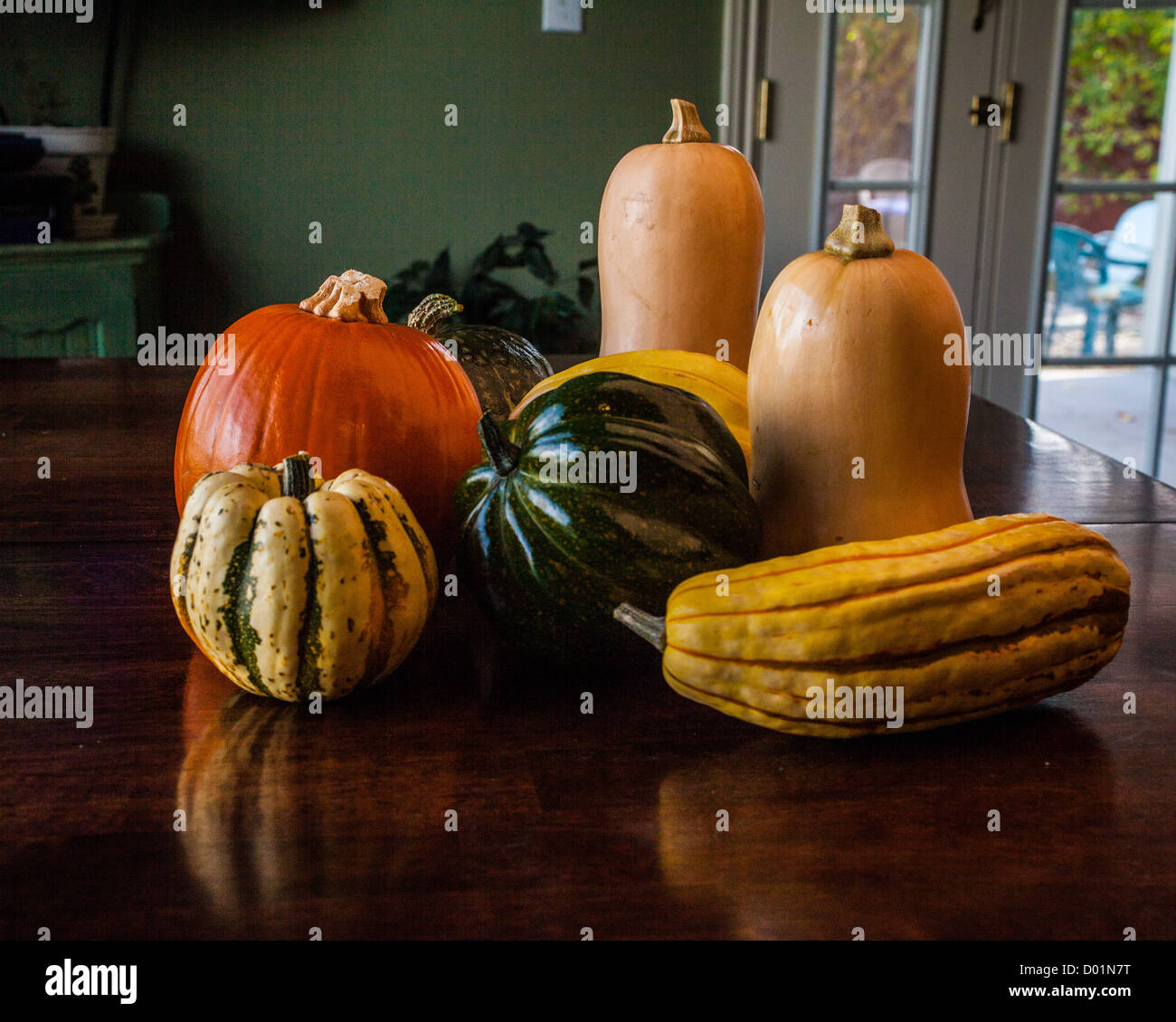 Assorted winter squash butternut,pumpkin, carnival, acorn, Kabocha