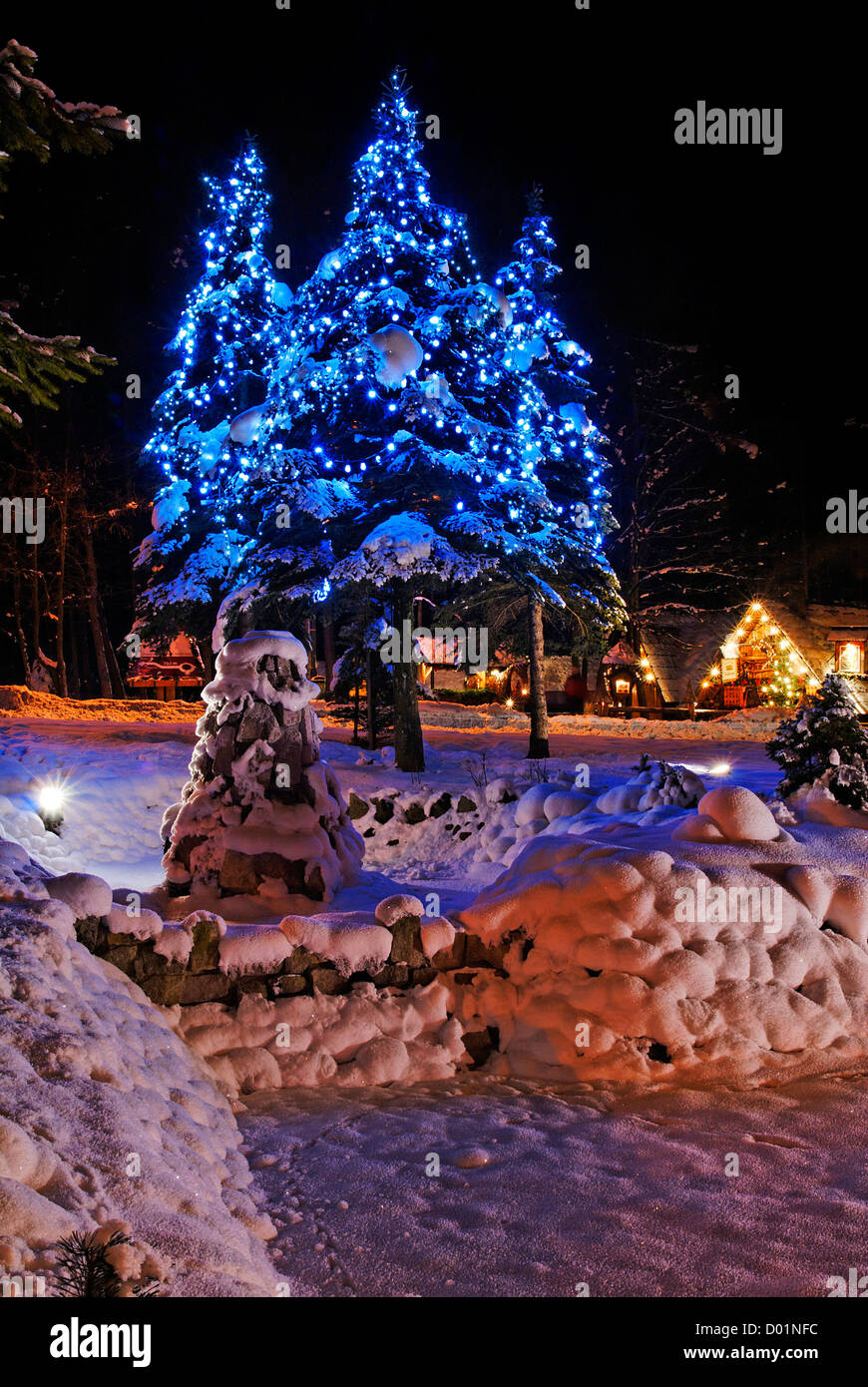 Christmas trees in public space Stock Photo Alamy