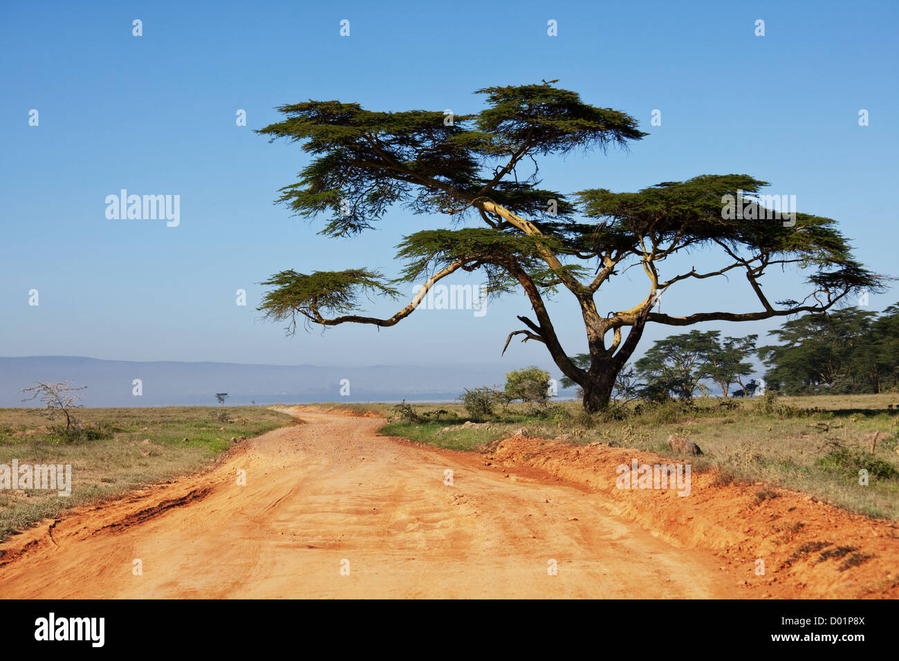 Africa road in Kenya Stock Photo