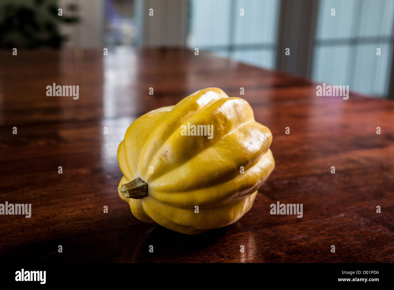 A yellow acorn squash Stock Photo Alamy