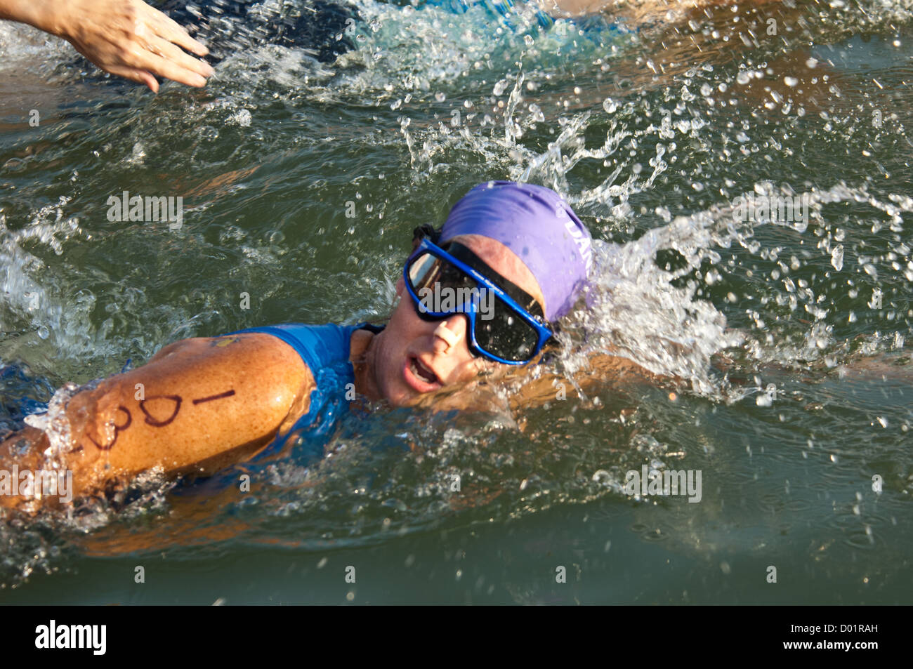 Swimmers competing in a triathlon race, Austin Texas Stock Photo Alamy