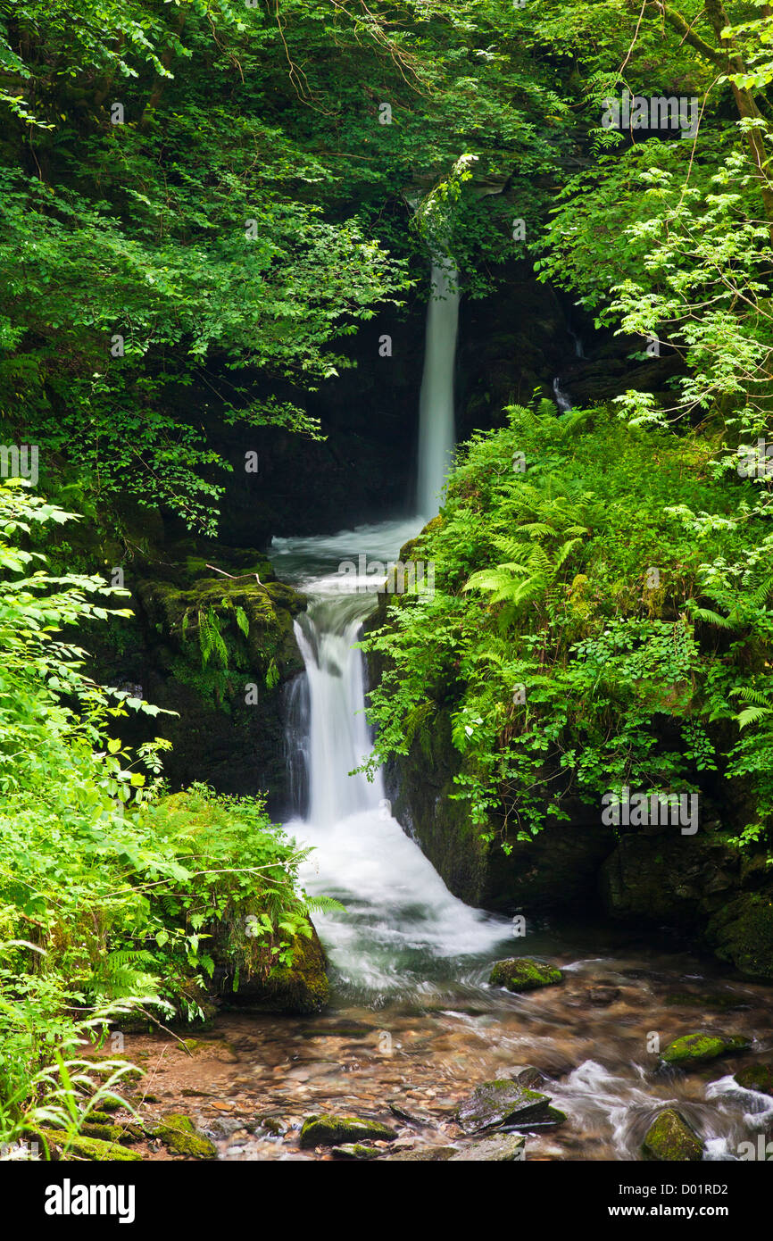 Waterfall on Hoar Oak River near Watersmeet, Exmoor, Devon, England, UK Stock Photo