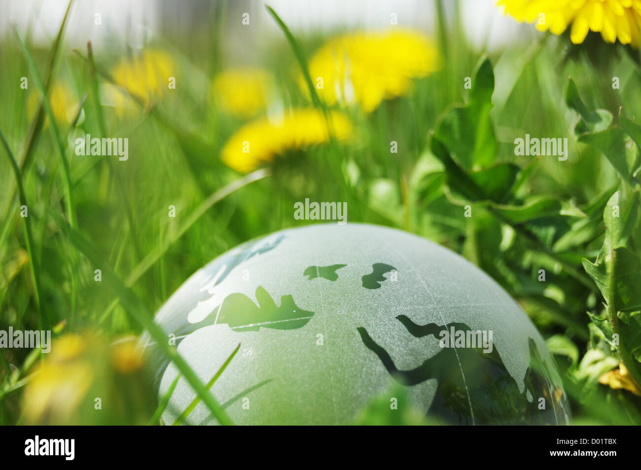 glass globe or earth in green grass showing eco concept with copyspace ...