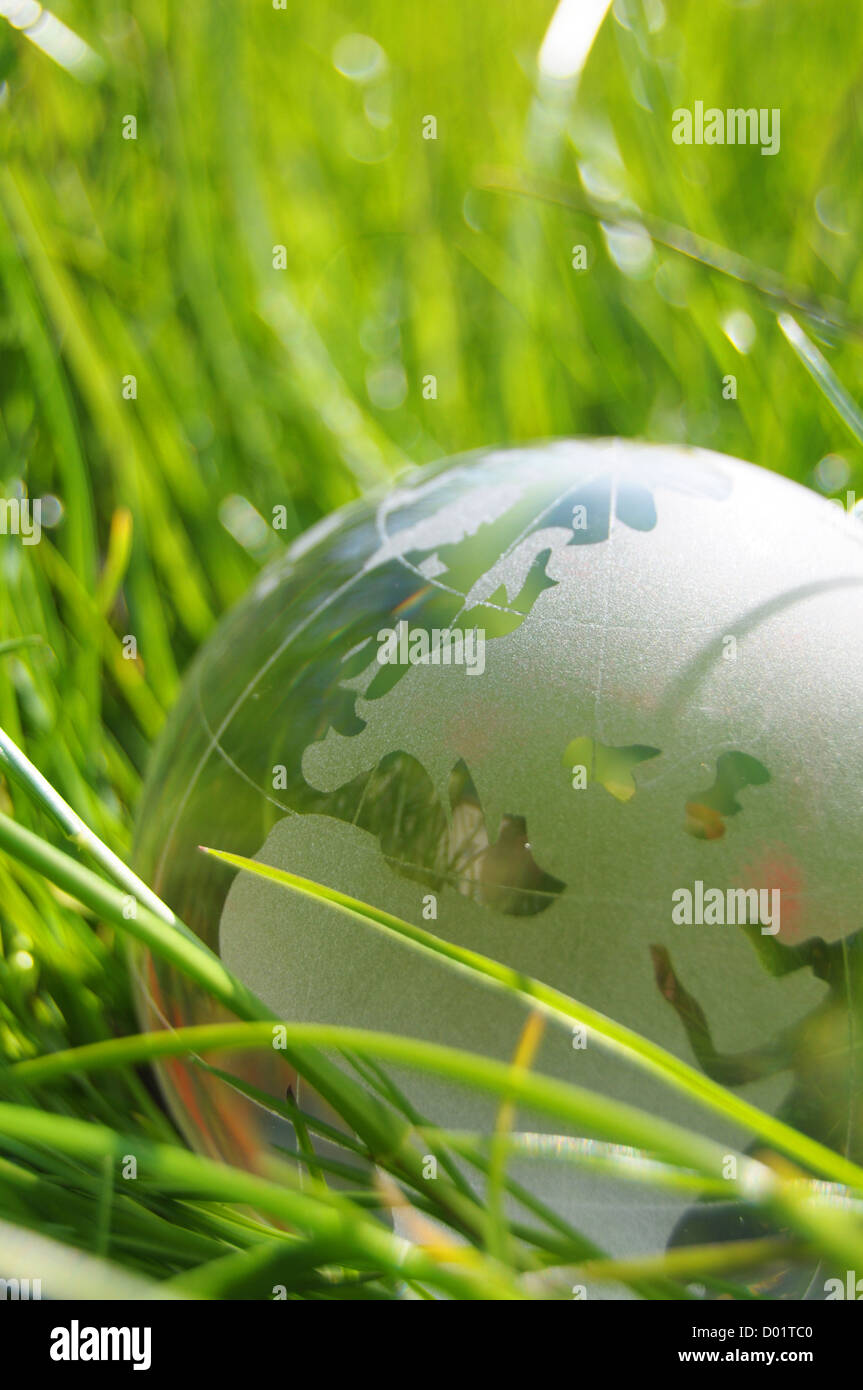 glass globe or earth in green grass showing eco concept with copyspace ...