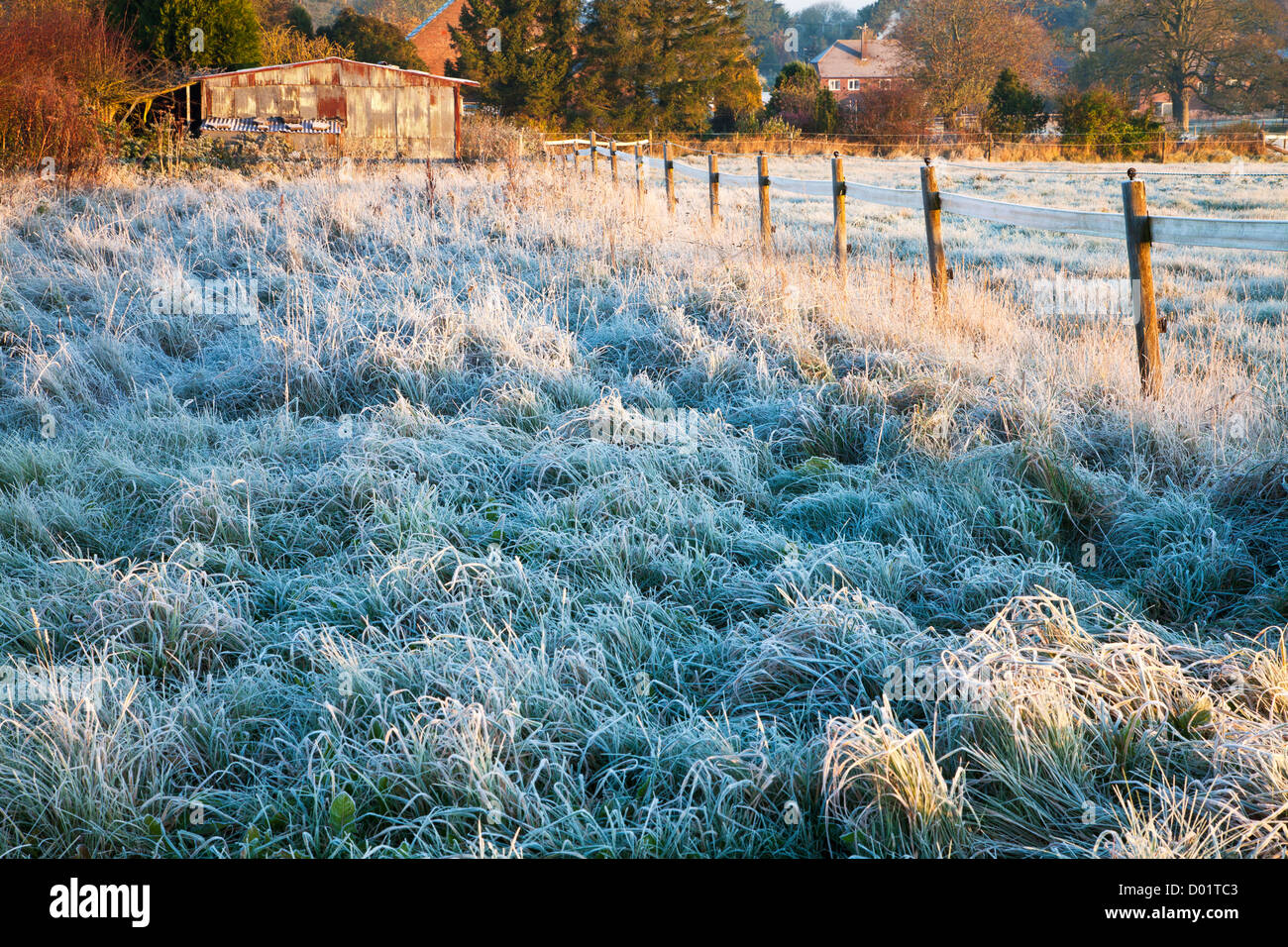 Frosty grasses before a corrugated iron barn at sunrise in the autumnal Wiltshire countryside landscape at Beckhampton. Stock Photo