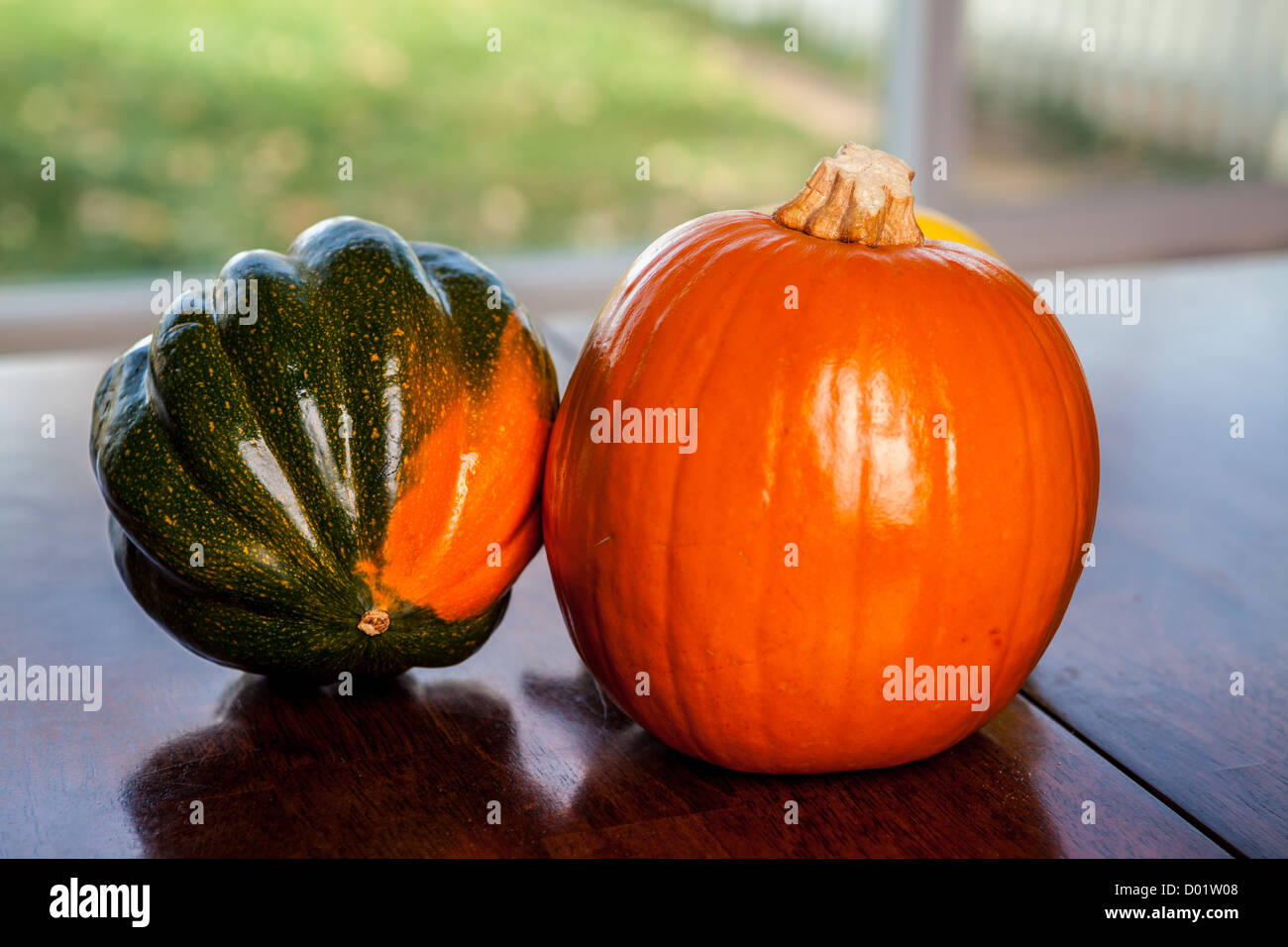 Assorted winter squash butternut,pumpkin, carnival, acorn, Kabocha