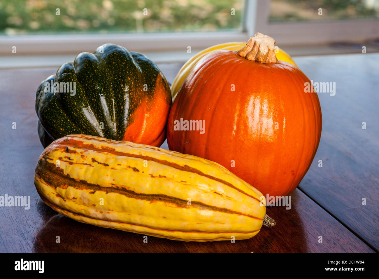 Assorted winter squash butternut,pumpkin, carnival, acorn, Kabocha