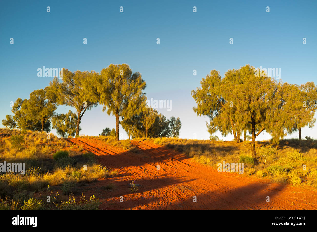 Sunrise at Desert Oaks Rest Area north of Erldunda on the Stuart Highway in the Red Centre of the Northern Territory in outback central Australia Stock Photo