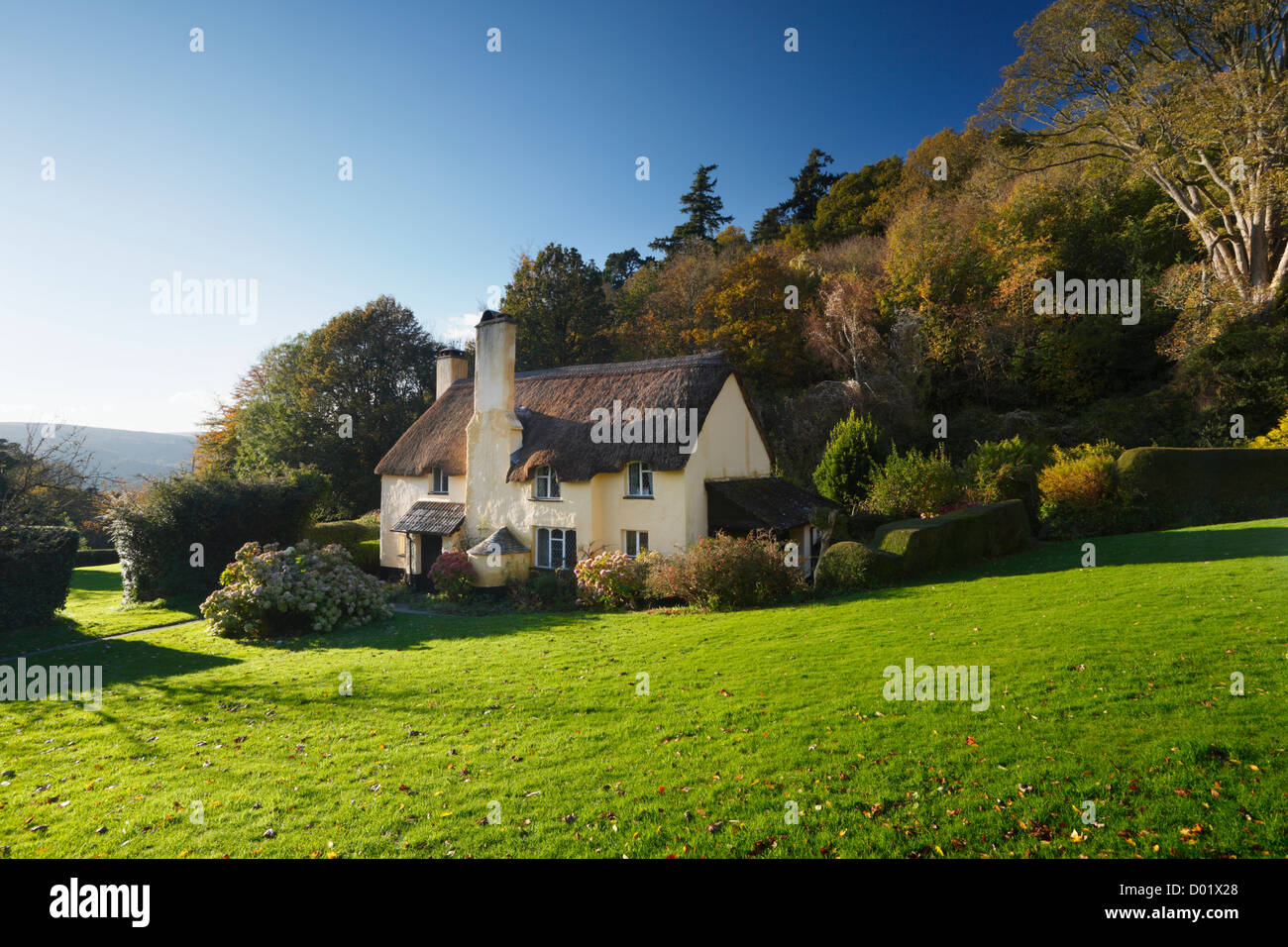 Thatched Cottage in Selworthy Village on The Holnicote Estate. Exmoor National Park. Somerset. England. UK. Stock Photo