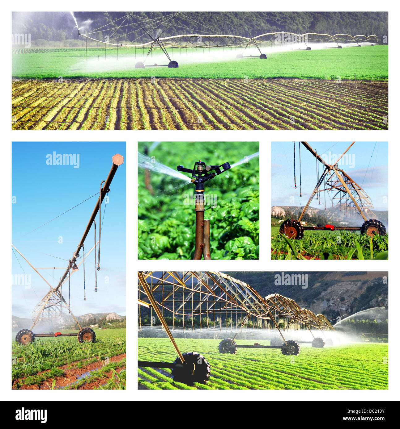 Collage of irrigation images Stock Photo