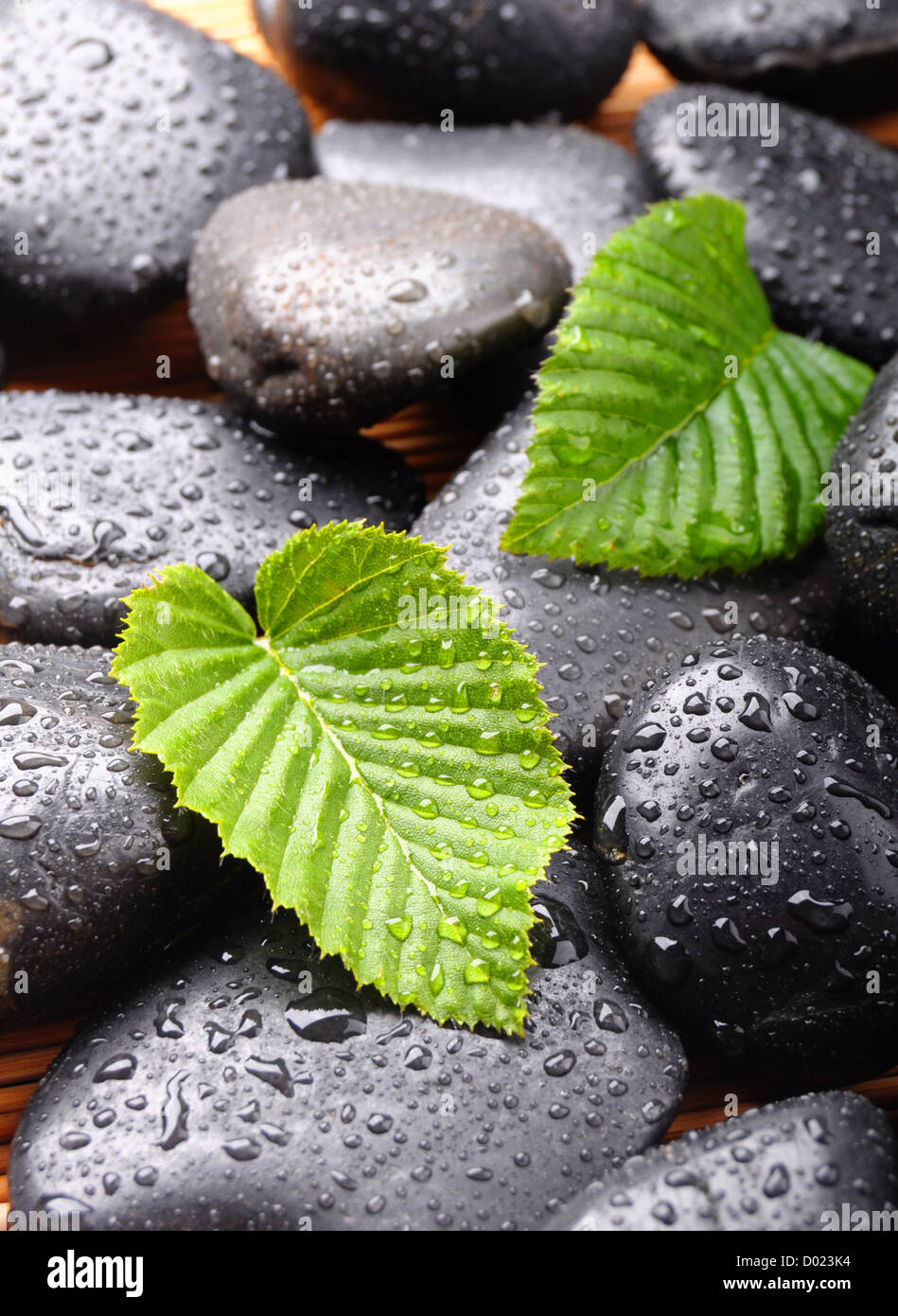 zen stone with green leaf or water drops showing spa or wellness