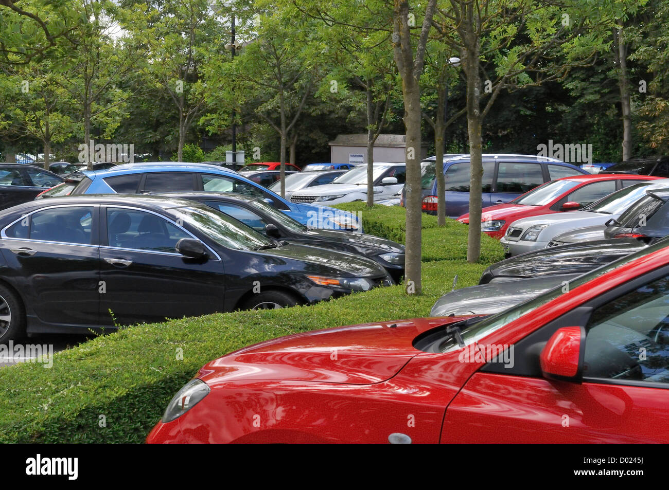 Car park with cars among trees and hedges Stock Photo Alamy