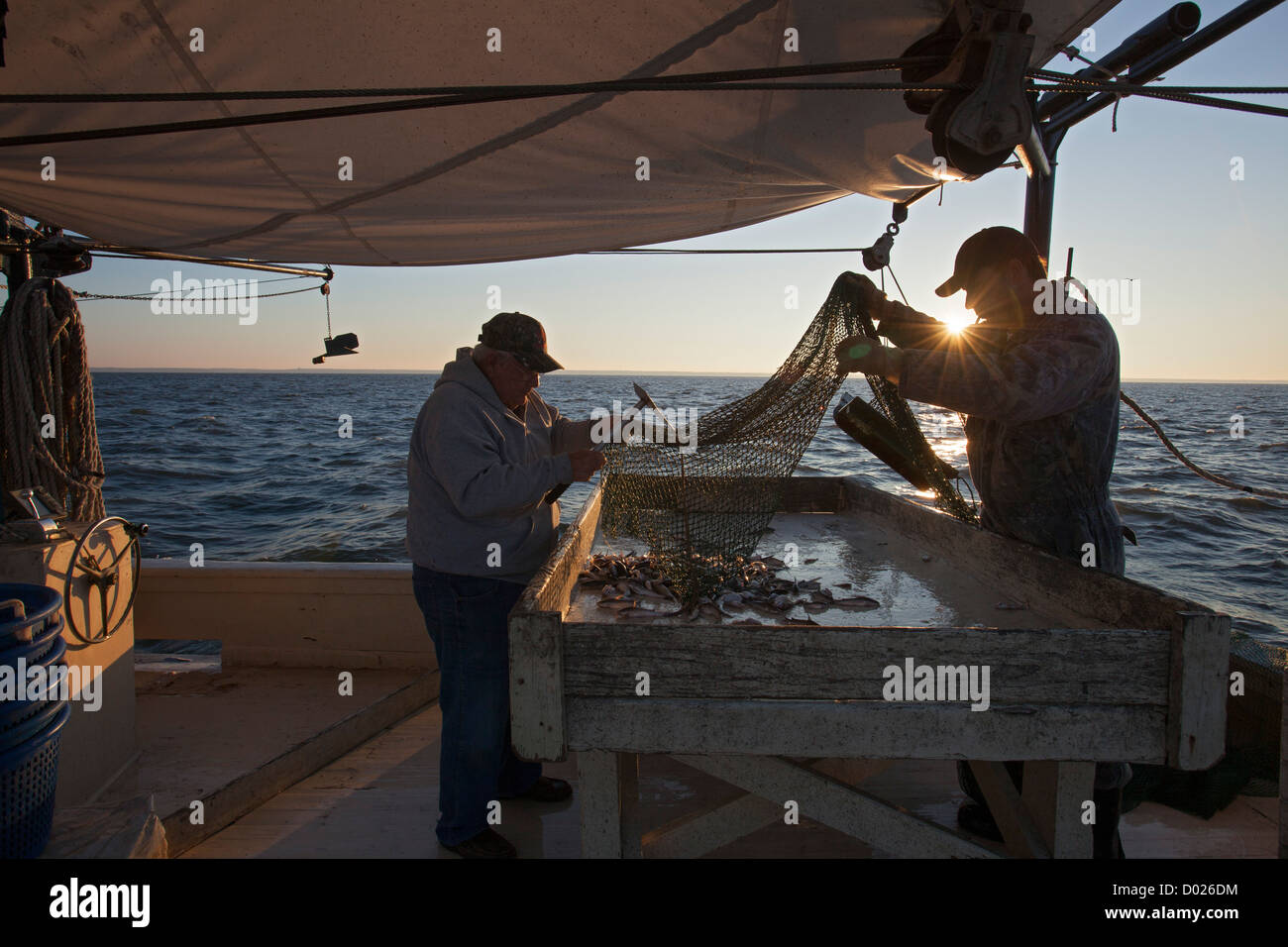 Gulf shrimp net hi-res stock photography and images - Alamy