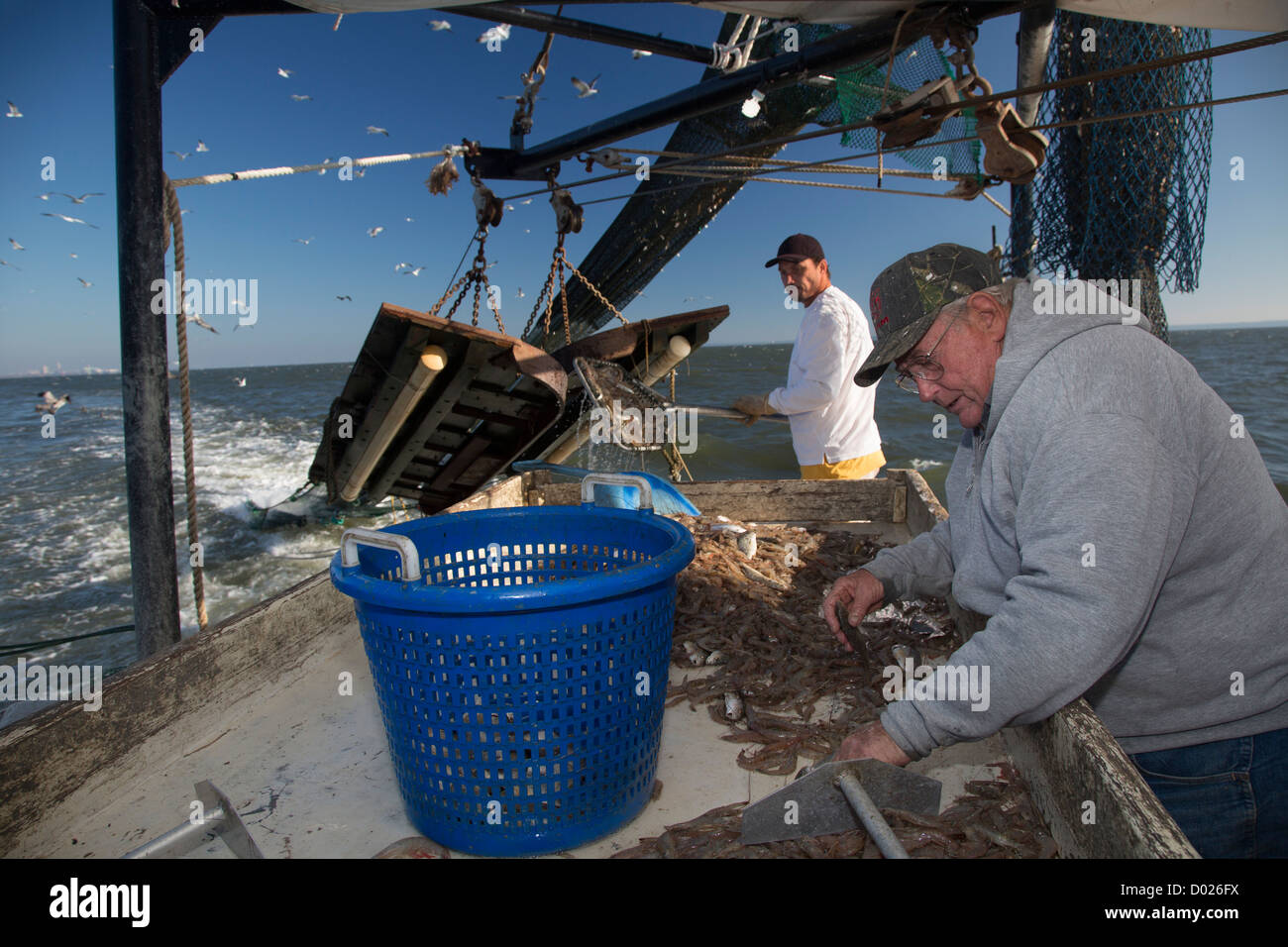 Shrimp Trawler Stock Photo Alamy Shrimp Trawler Stock Photo Alamy