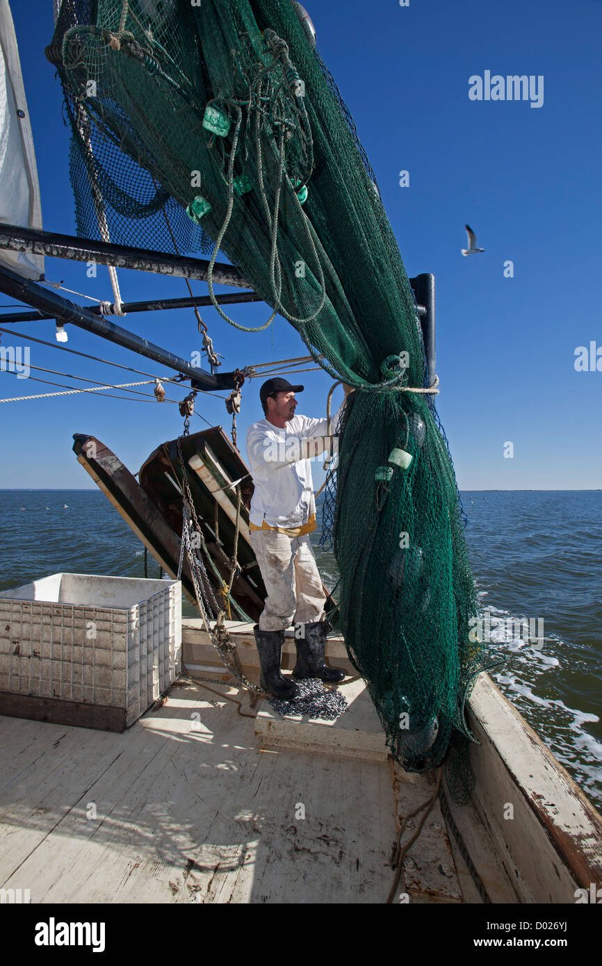Shrimp boat fishing hi-res stock photography and images - Page 18 - Alamy
