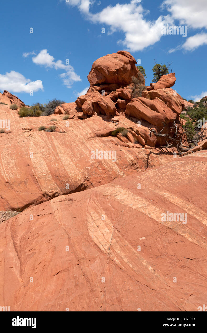 Sandstone slickrock in the Grand Staircase Escalante National Monument Stock Photo