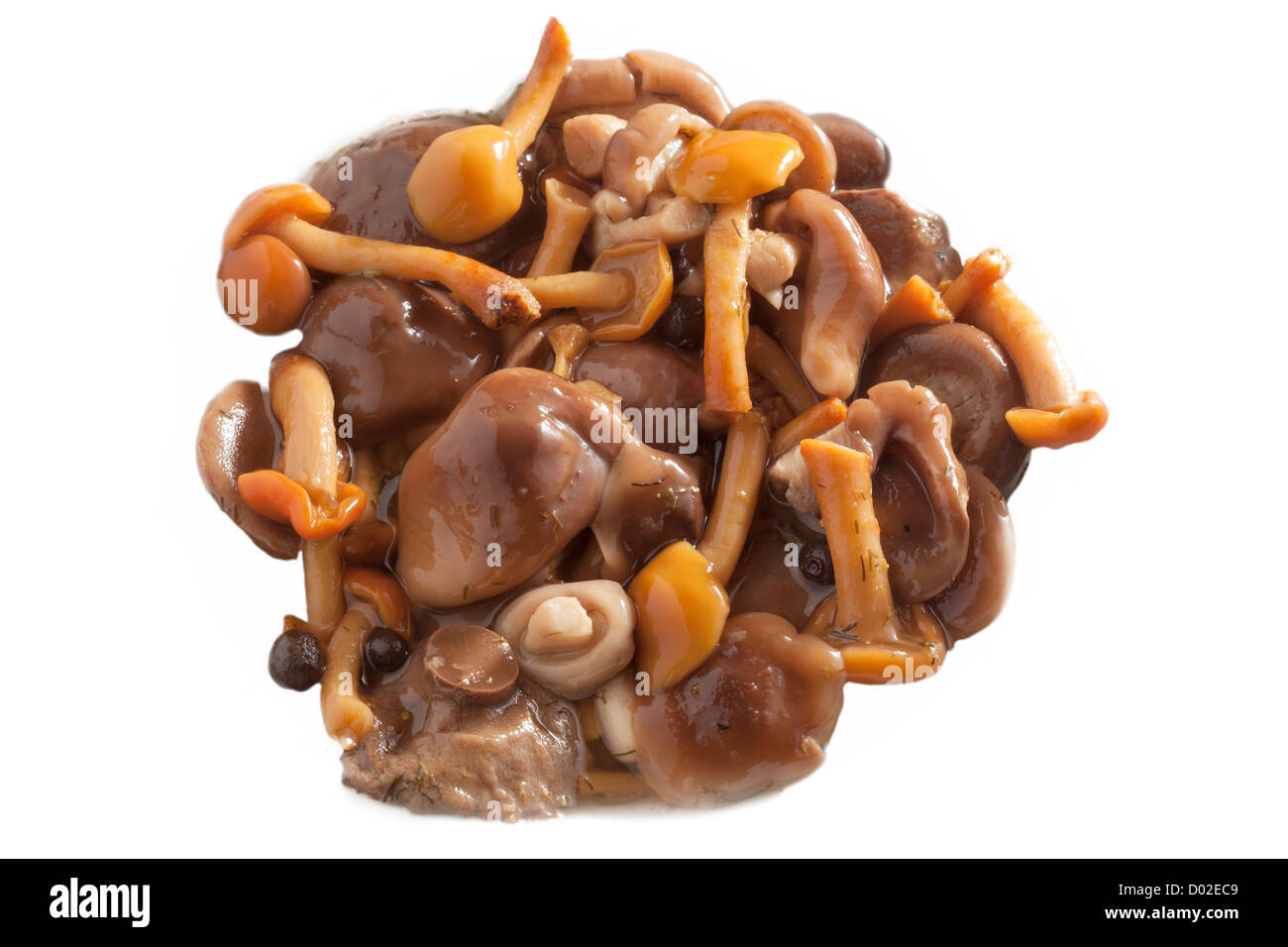 mixed mushrooms in oil Stock Photo