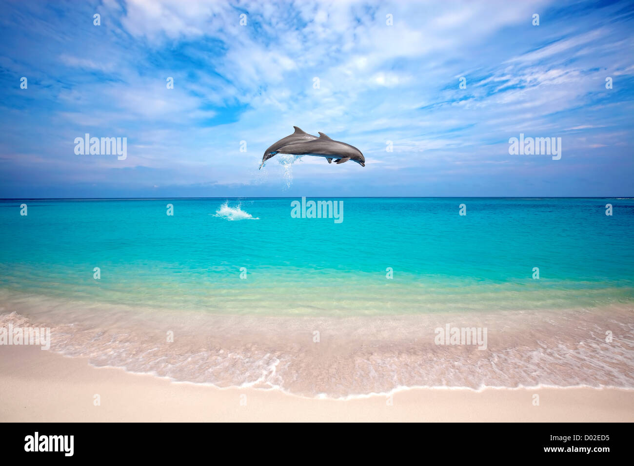 Dolphins jumping Stock Photo